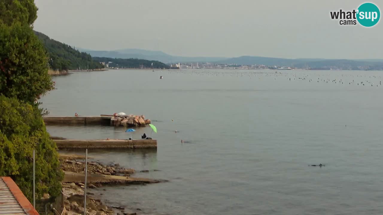 Webcam BellaRiva restaurant | Trieste coast – view to Miramare castle