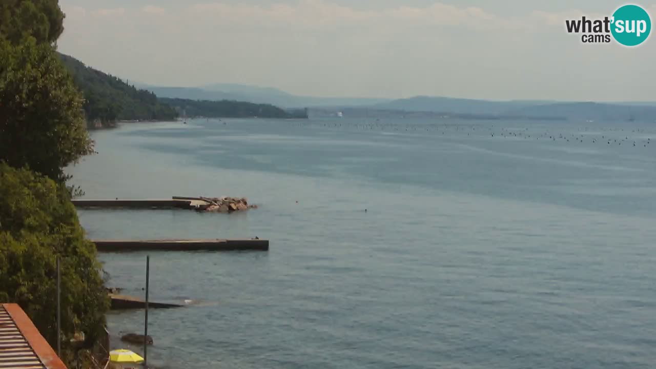 Webcam BellaRiva restaurant | Trieste coast – view to Miramare castle