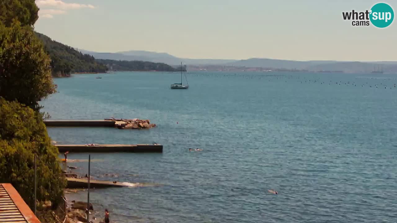 Webcam du restaurant BellaRiva | Côte de Trieste – vue sur le château de Miramare