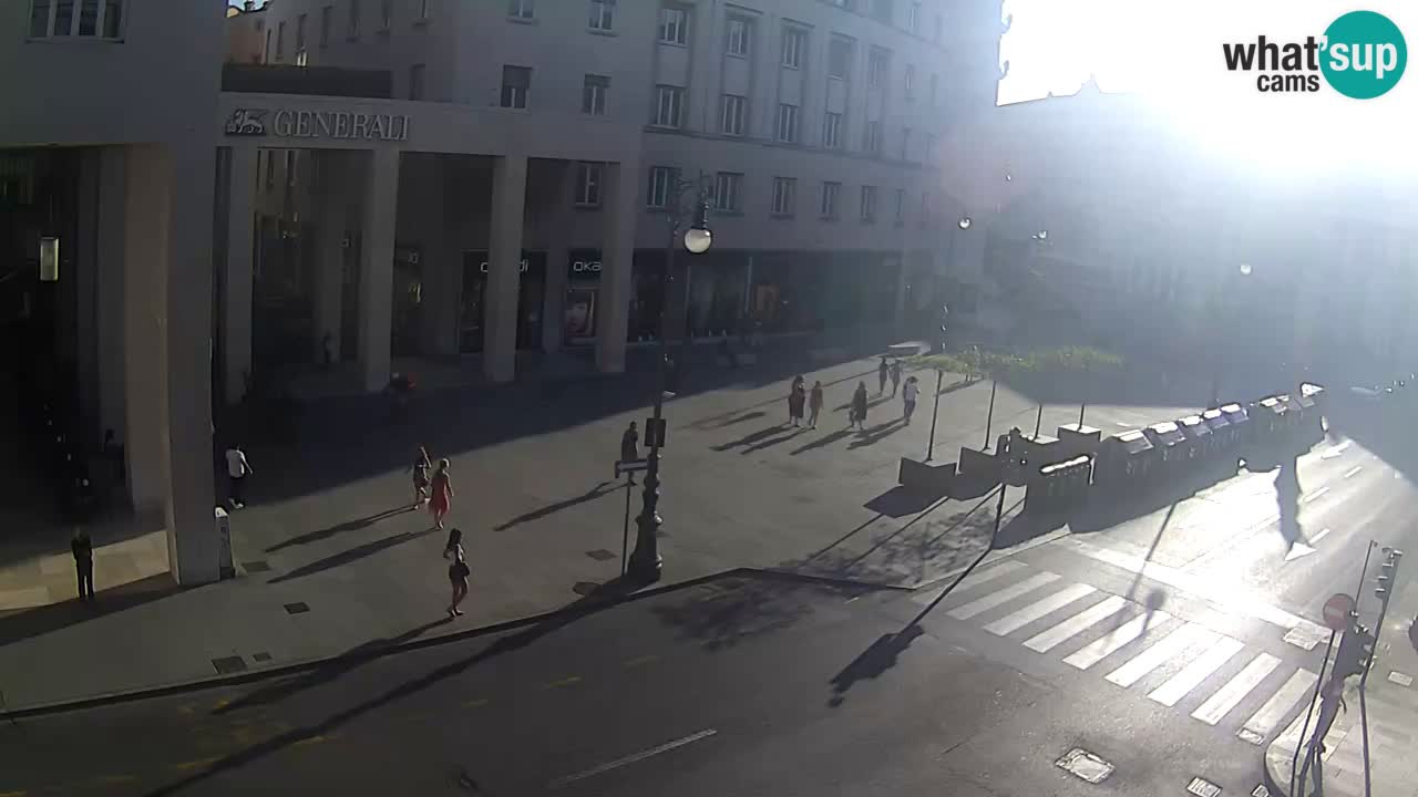 Trieste – Plaza de la Borsa webcam live