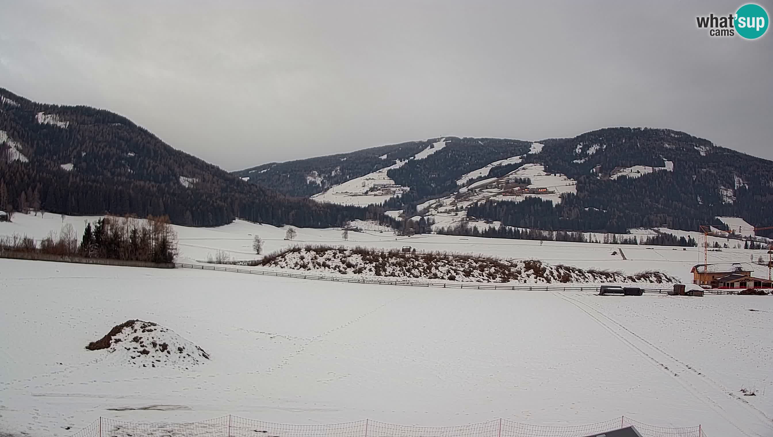 Webkamera Olang | Blick auf den Kronplatz von den Sottla Apartments