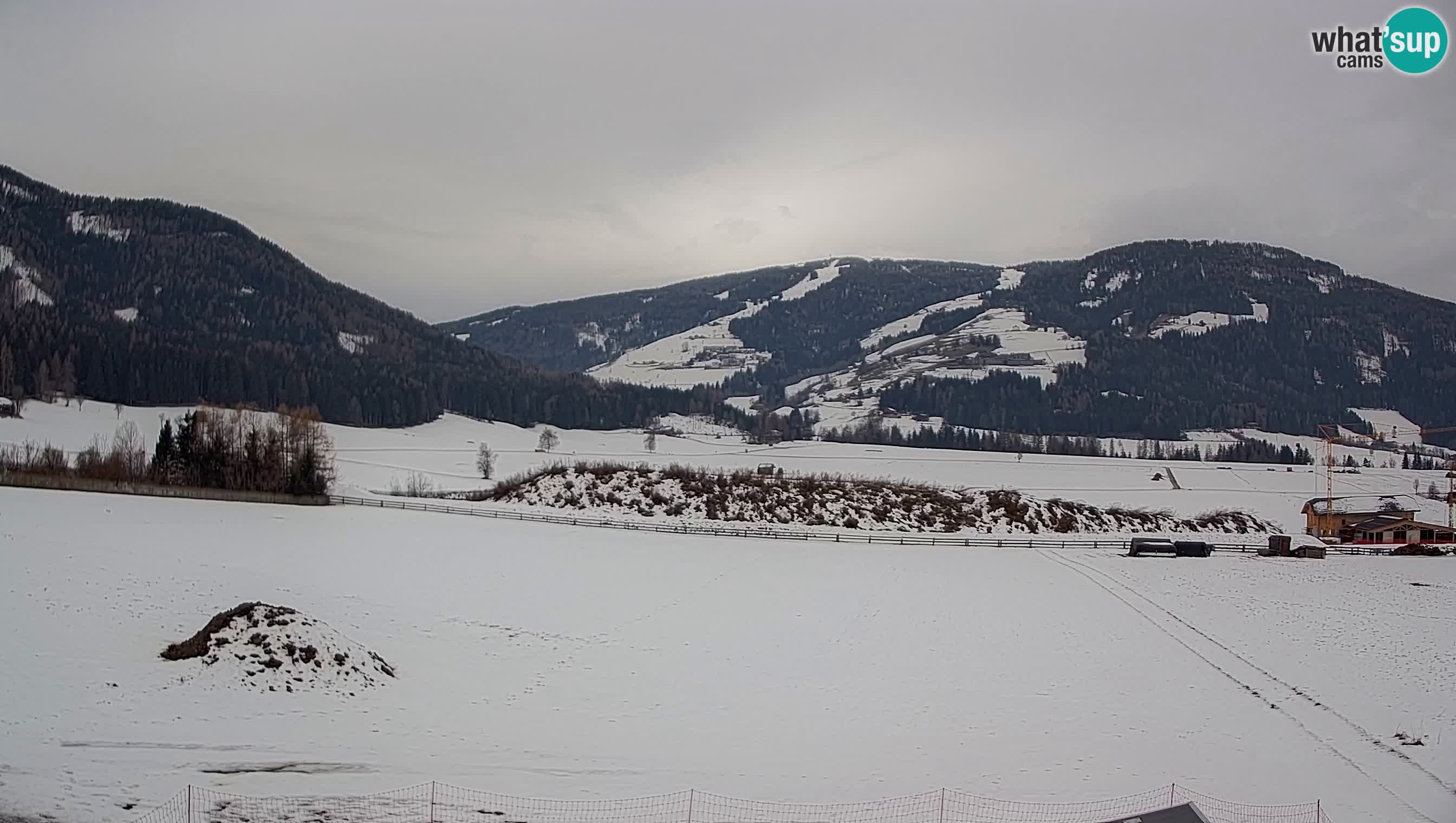 Webkamera Olang | Blick auf den Kronplatz von den Sottla Apartments