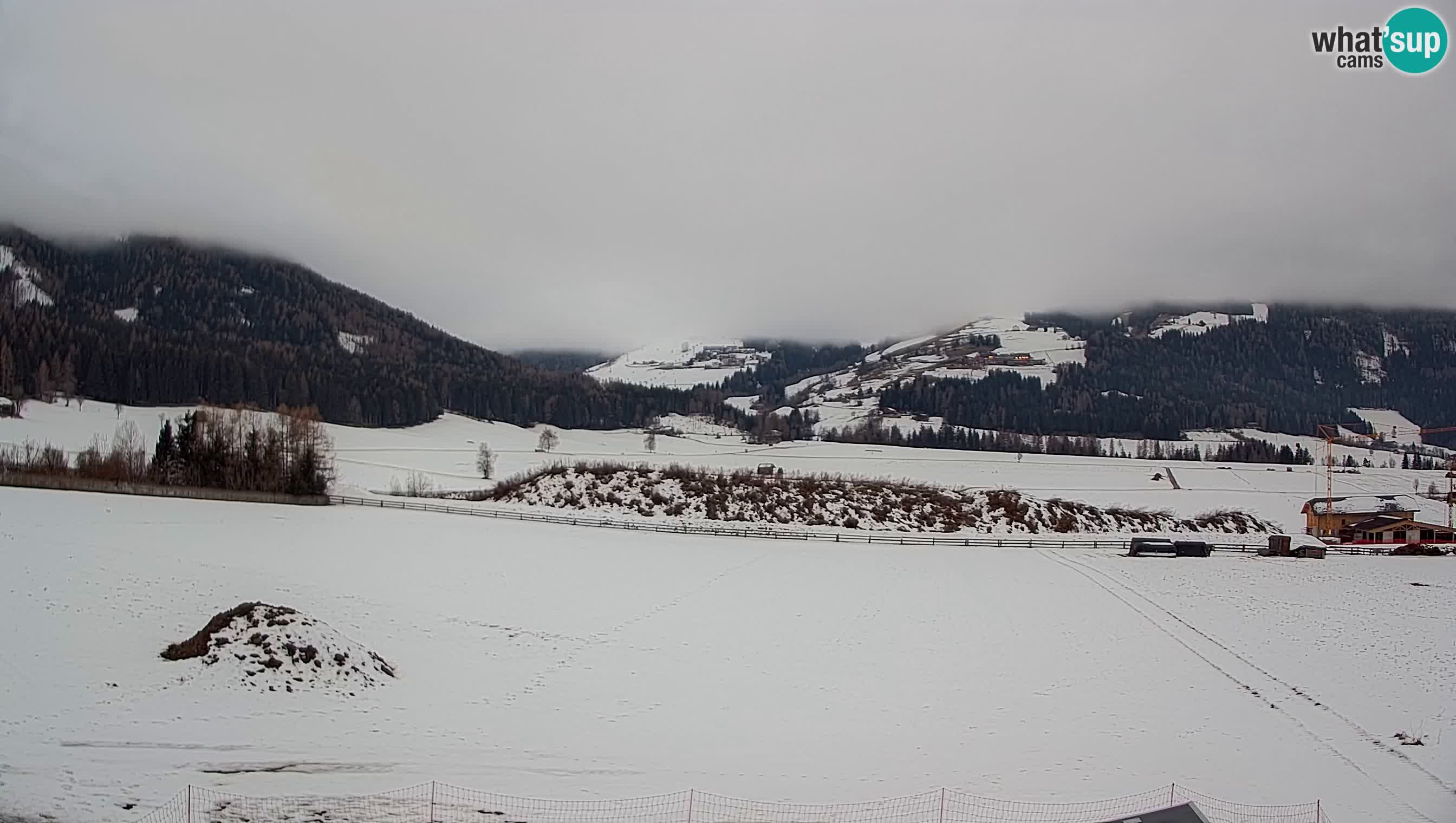 Livecam Olang | Kronplatz view from Sottla apartments