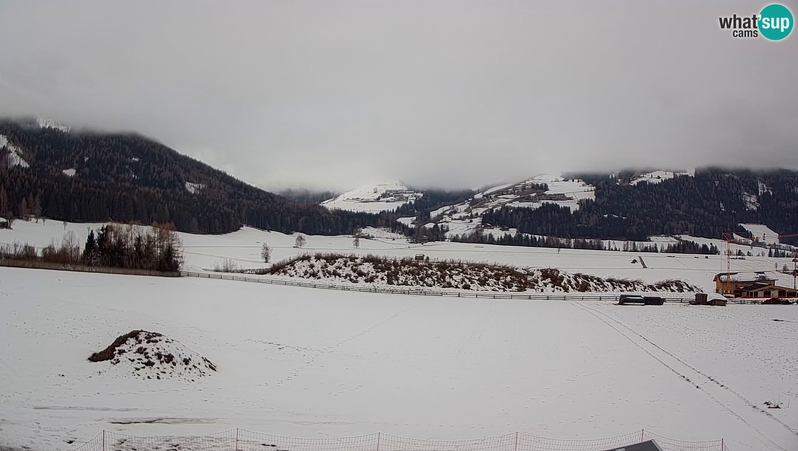 Livecam Olang | Kronplatz view from Sottla apartments