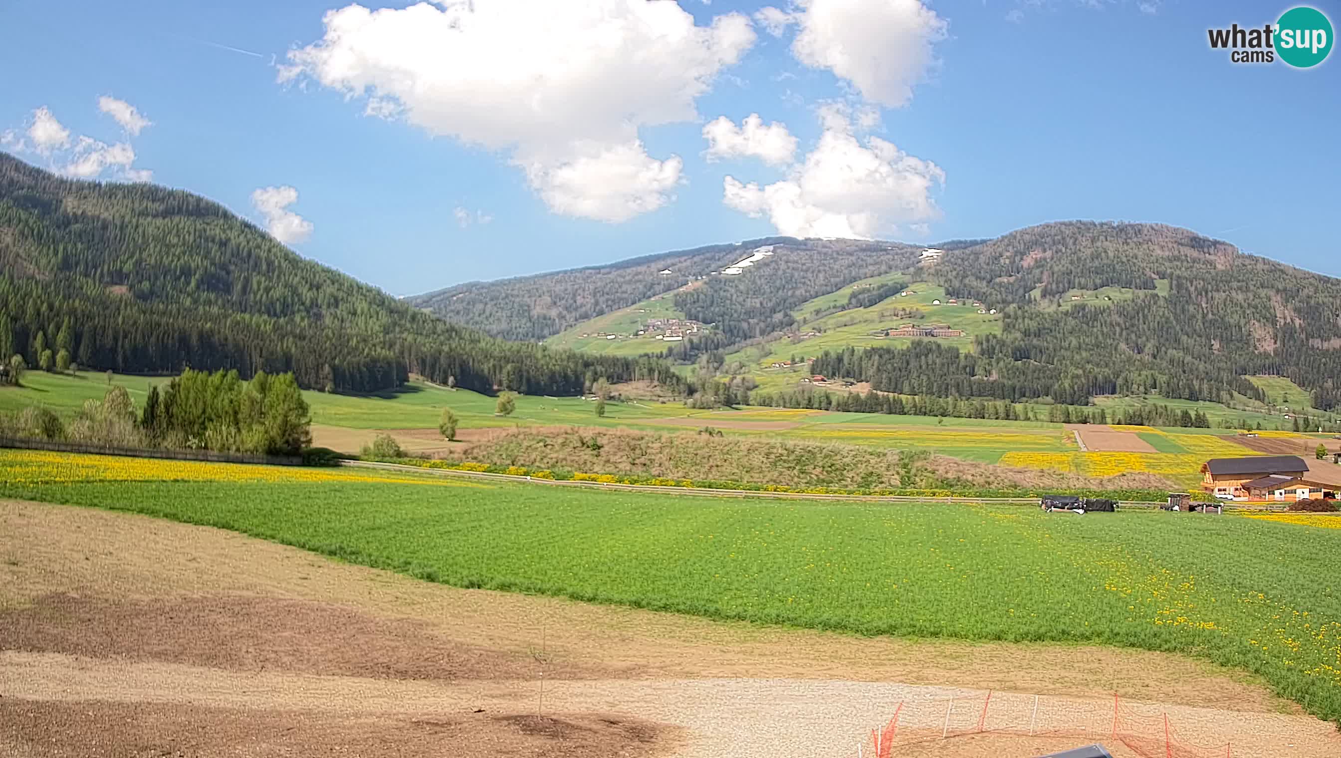 Livecam Olang | Kronplatz view from Sottla apartments
