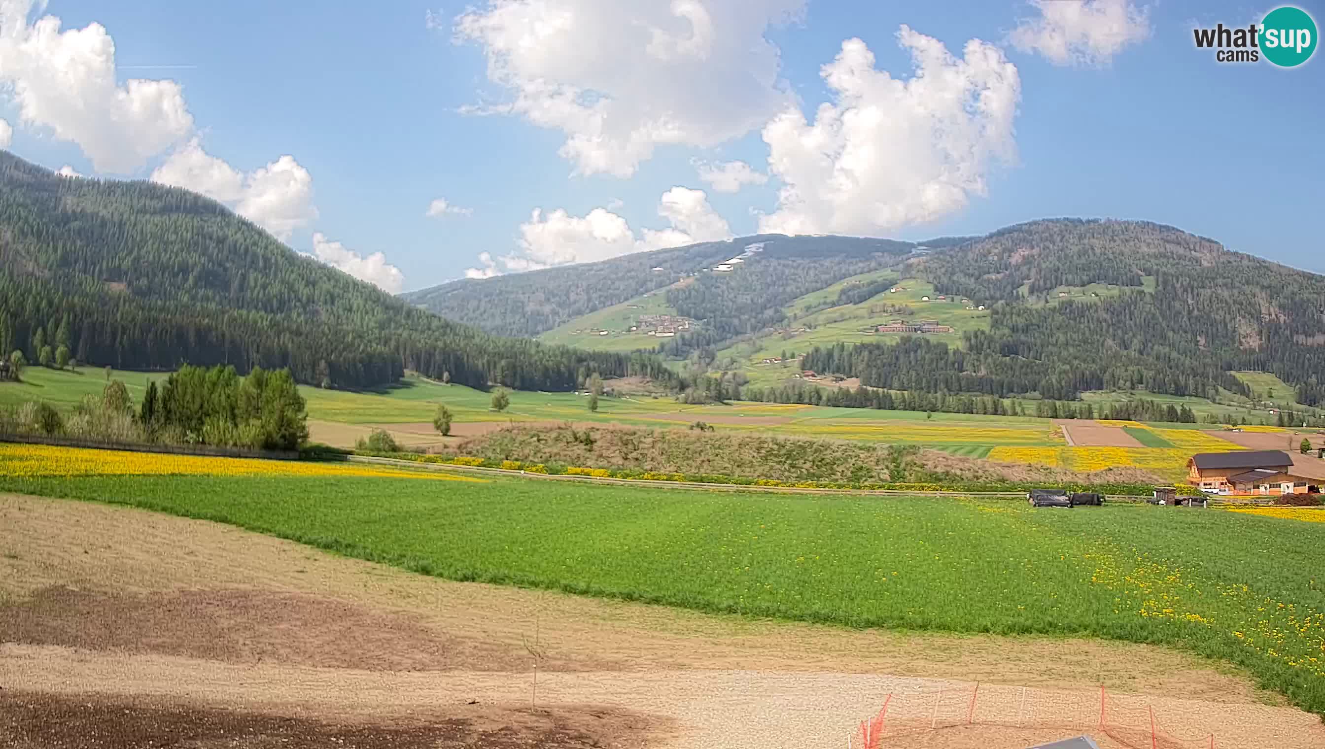 Webkamera Olang | Blick auf den Kronplatz von den Sottla Apartments