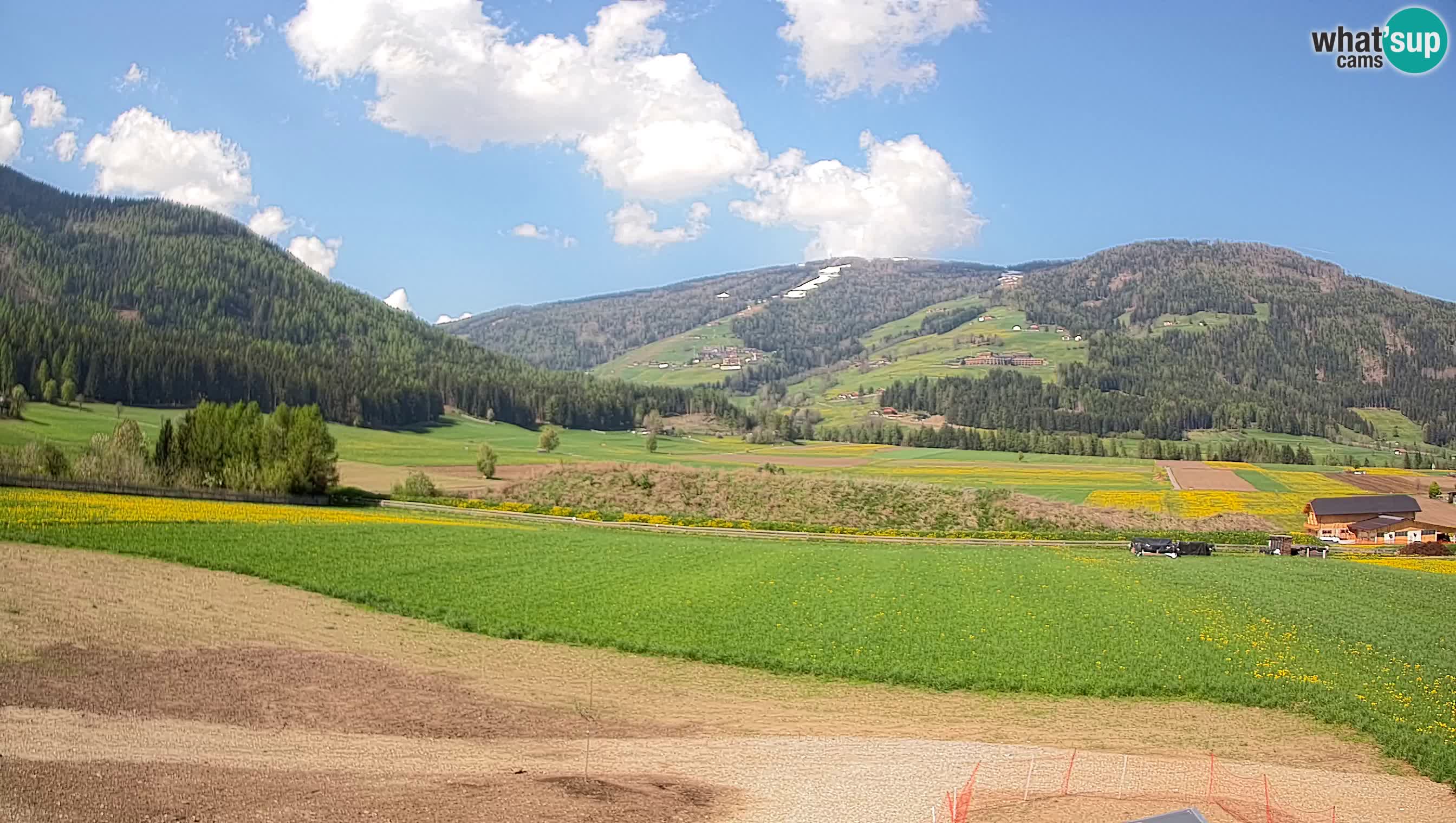 Web Kamera Olang | Kronplatz pogled sa apartmanov Sottla