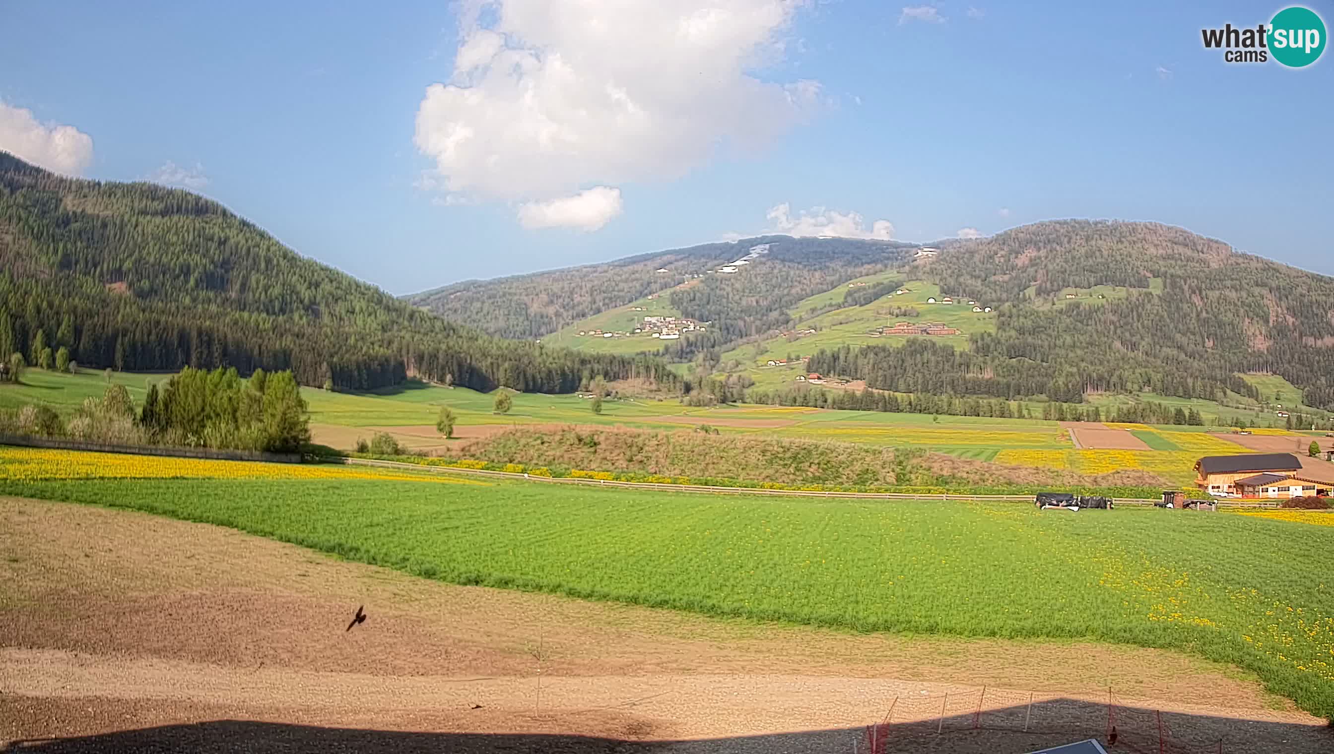 Web Kamera Olang | Kronplatz pogled sa apartmanov Sottla