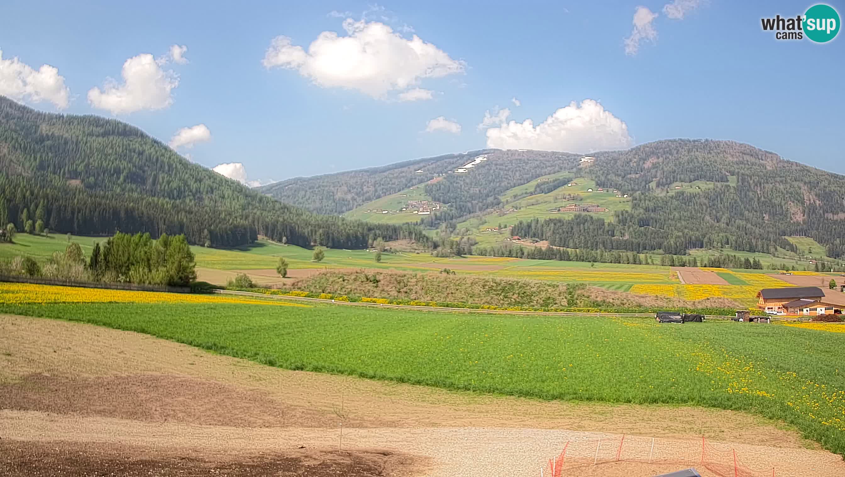 Web Kamera Olang | Kronplatz pogled sa apartmanov Sottla