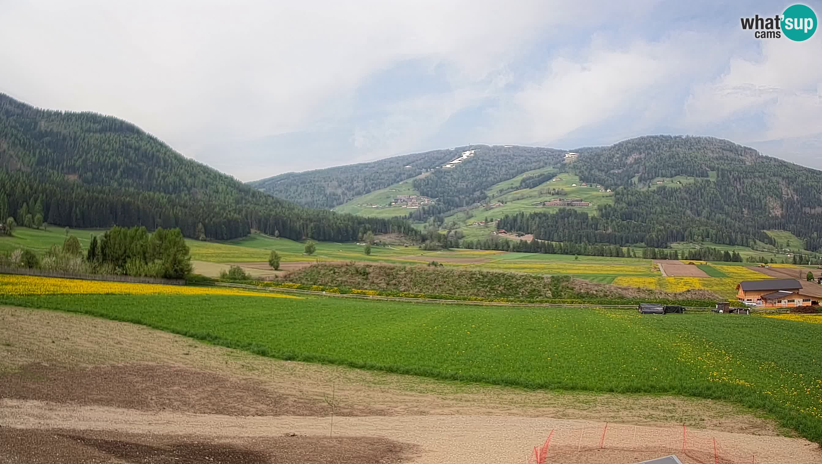 Livecam Olang | Kronplatz view from Sottla apartments