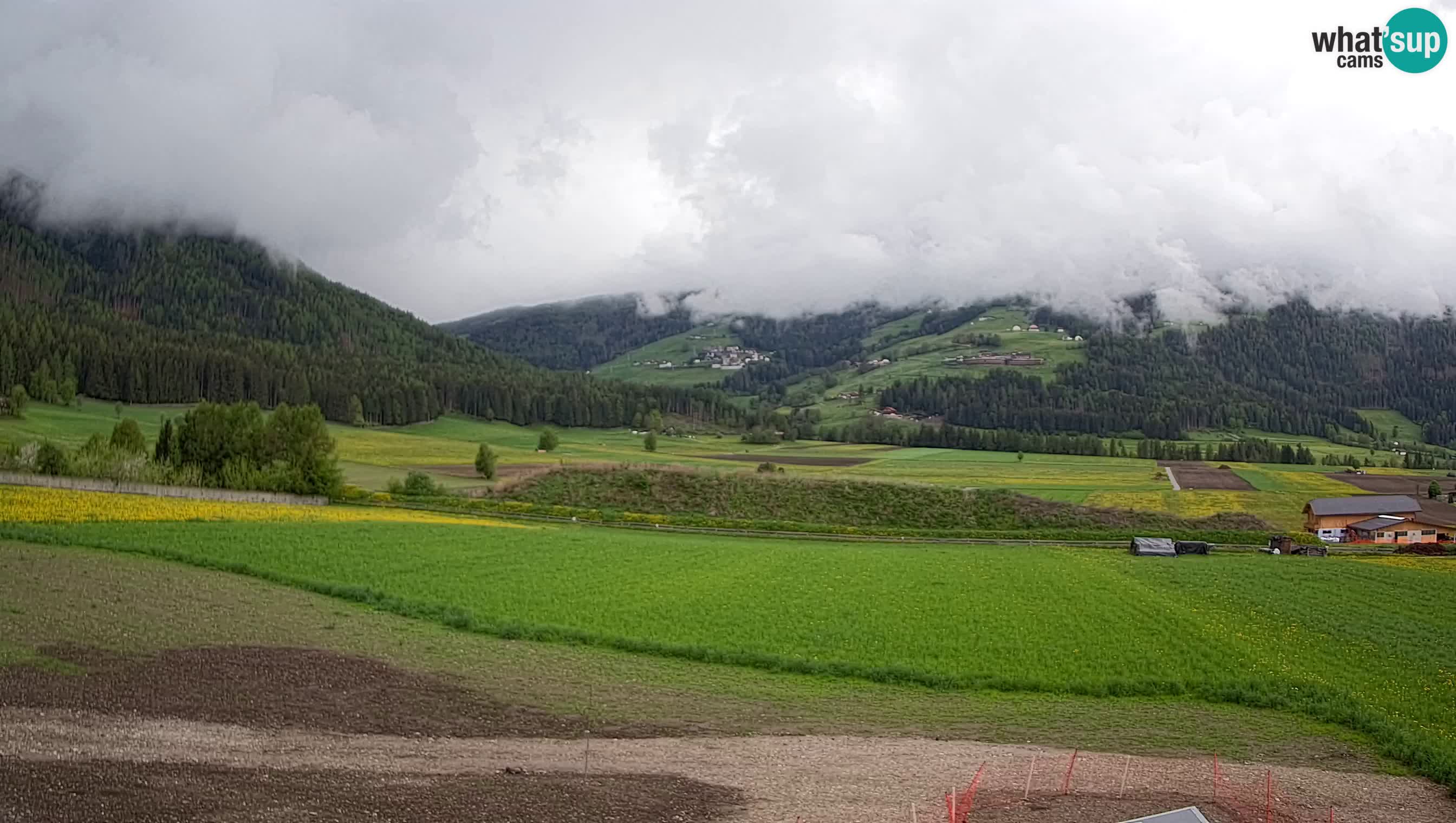 Web Kamera Olang | Kronplatz pogled sa apartmanov Sottla
