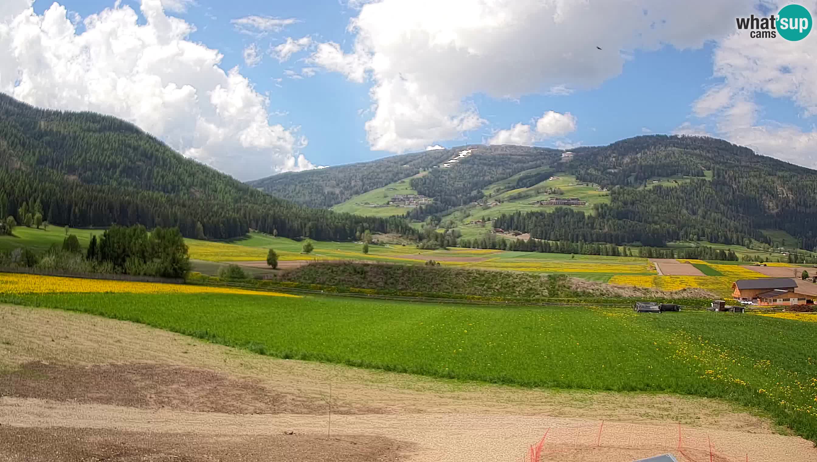 Web Kamera Olang | Kronplatz pogled sa apartmanov Sottla