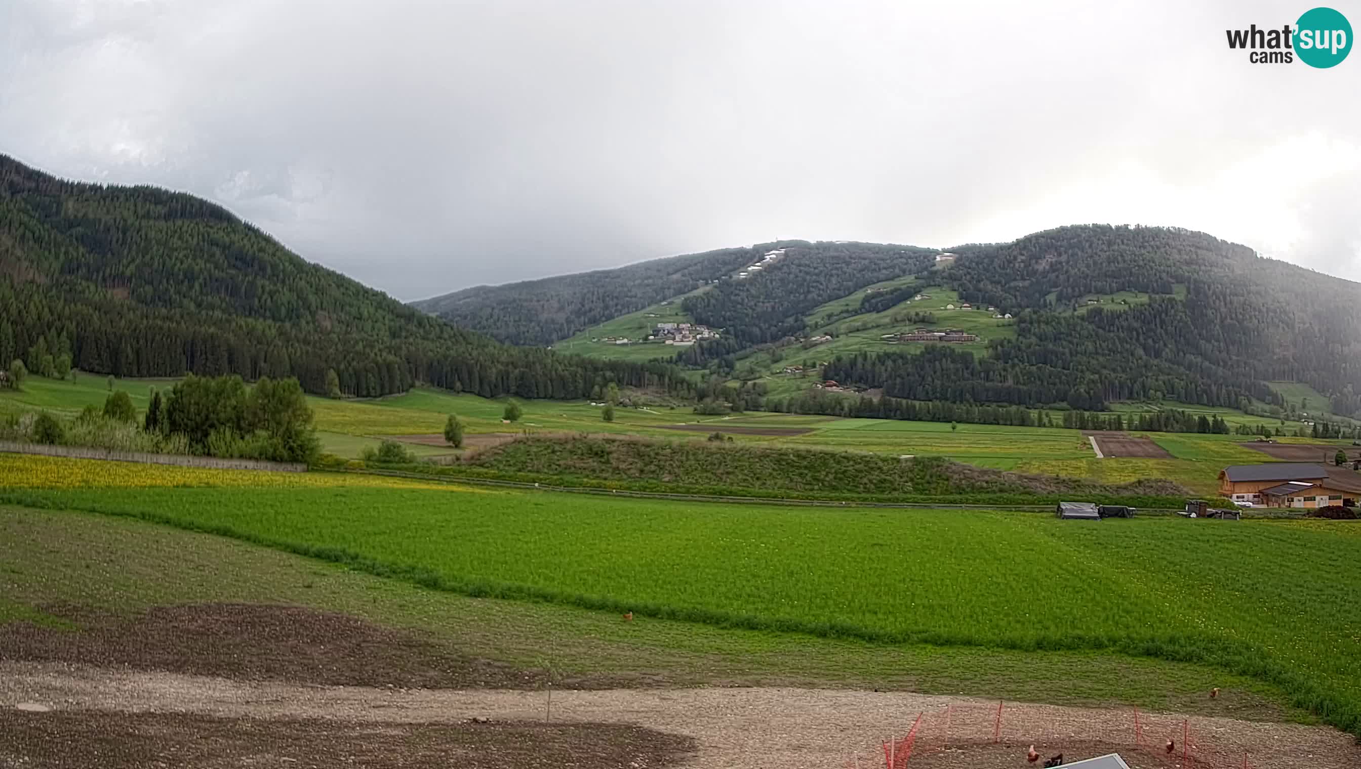Kamera Olang | Kronplatz pogled iz apartmajev Sottla