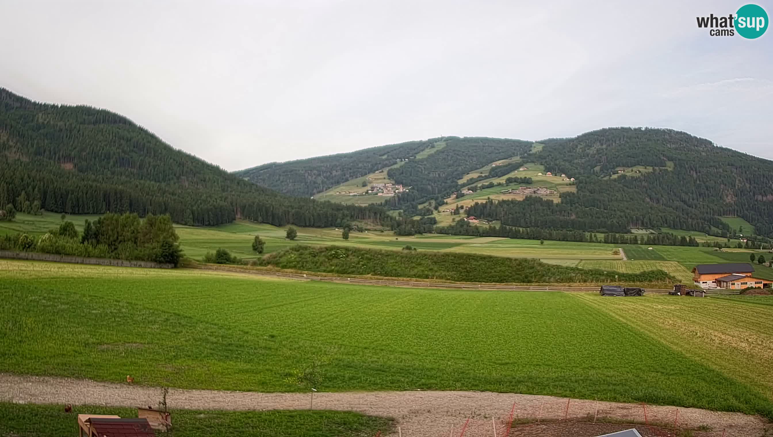Webkamera Olang | Blick auf den Kronplatz von den Sottla Apartments