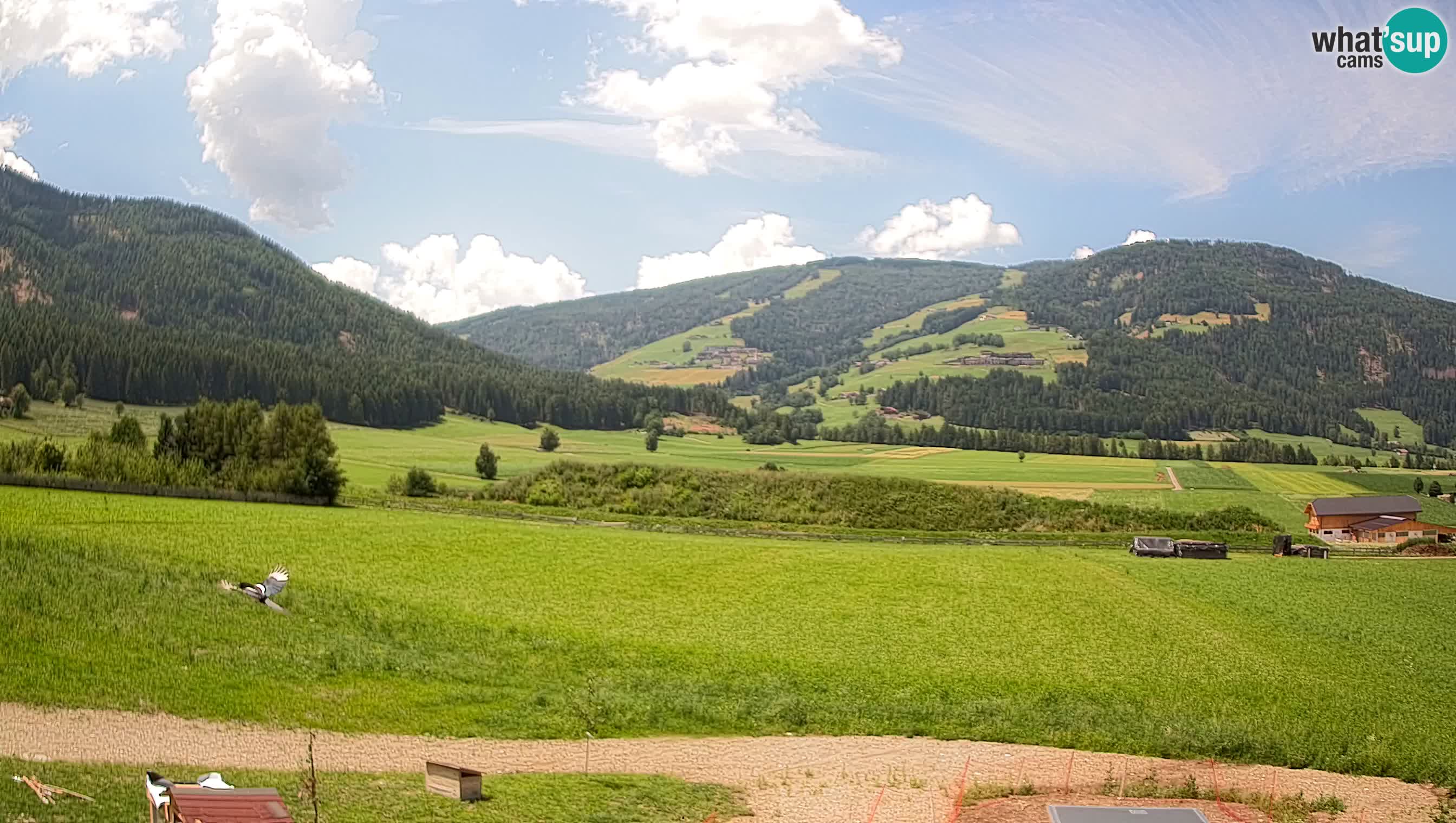 Livecam Olang | Kronplatz view from Sottla apartments