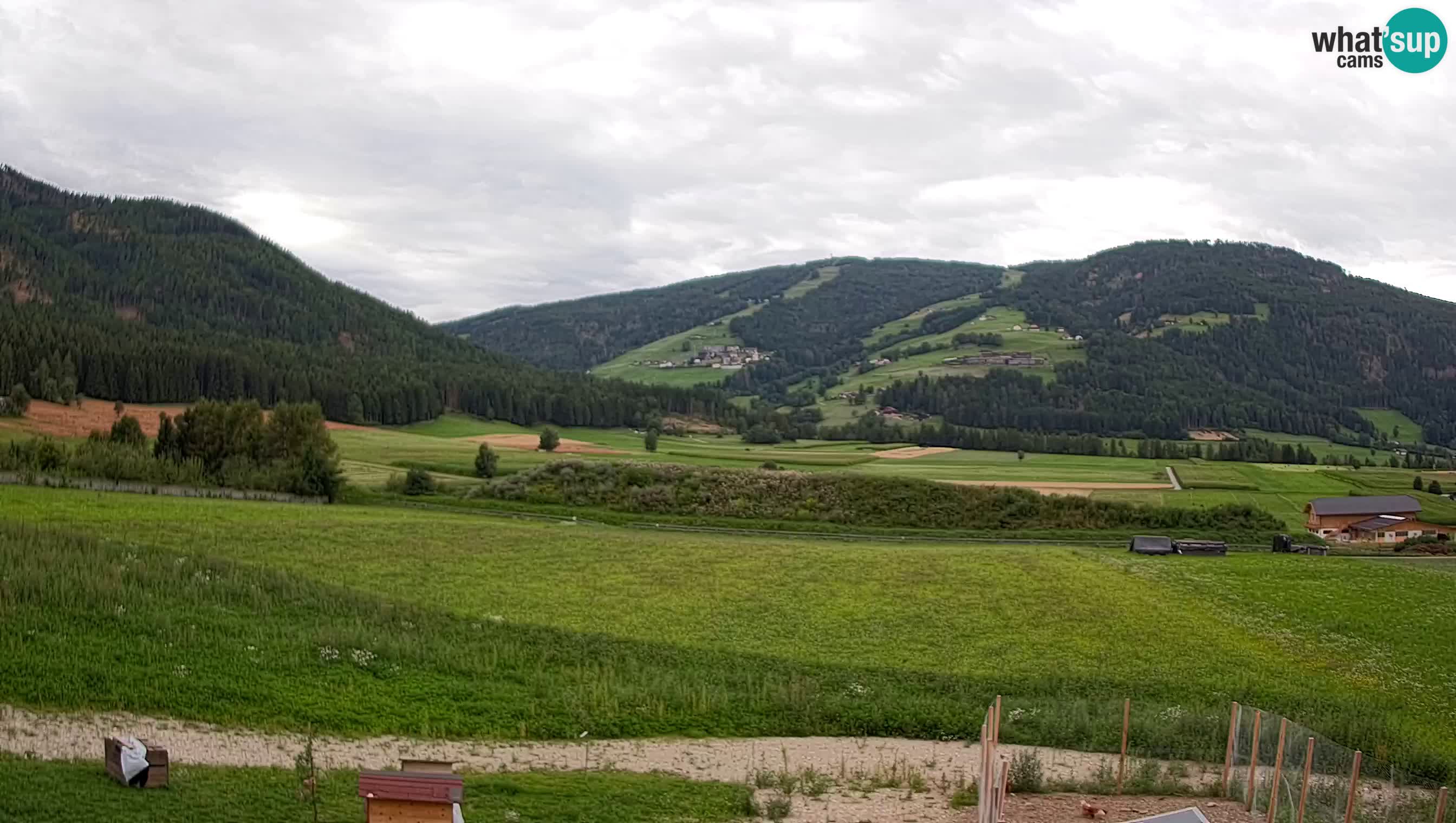 Livecam Olang | Kronplatz view from Sottla apartments