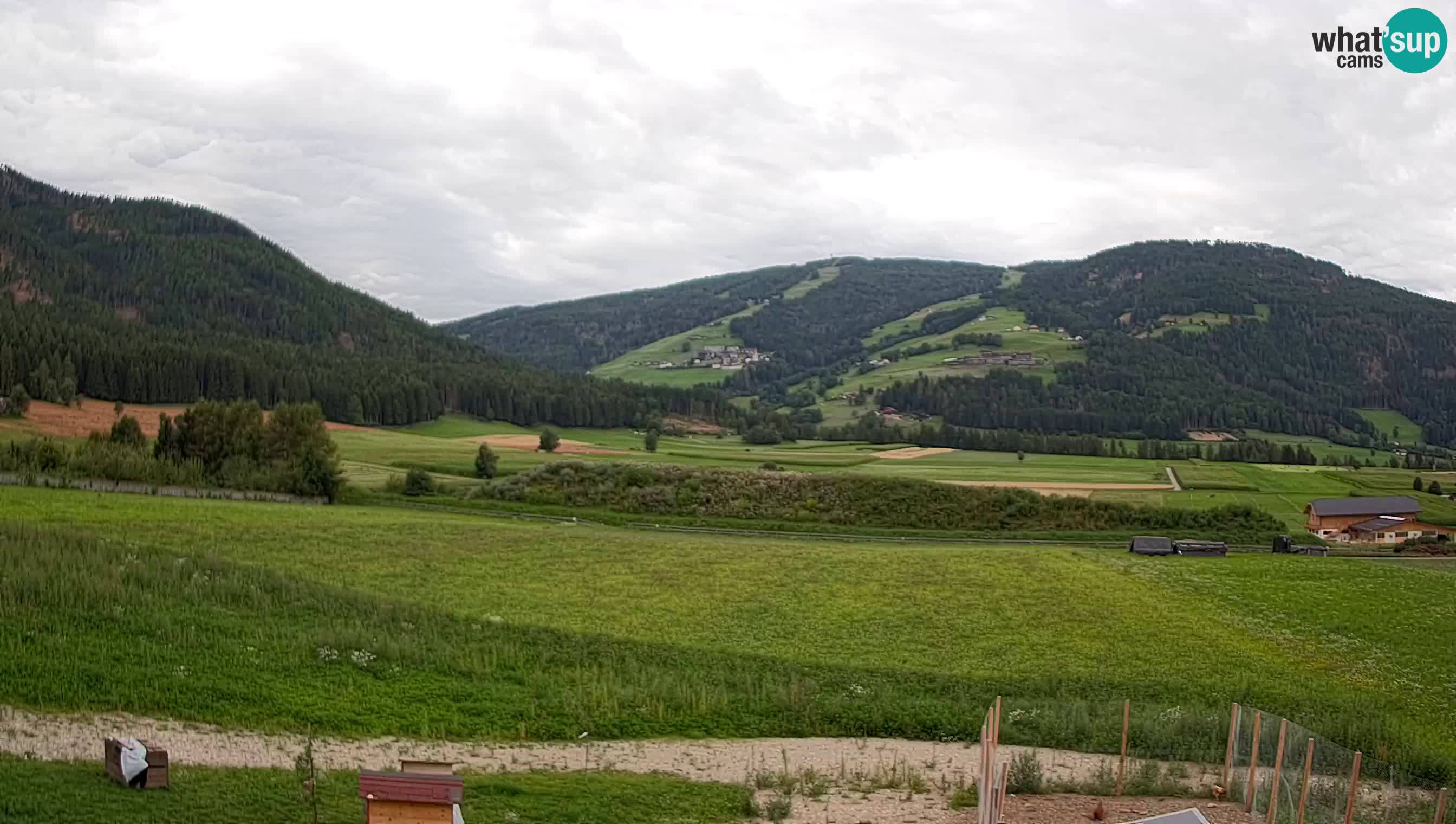 Web Kamera Olang | Kronplatz pogled sa apartmanov Sottla