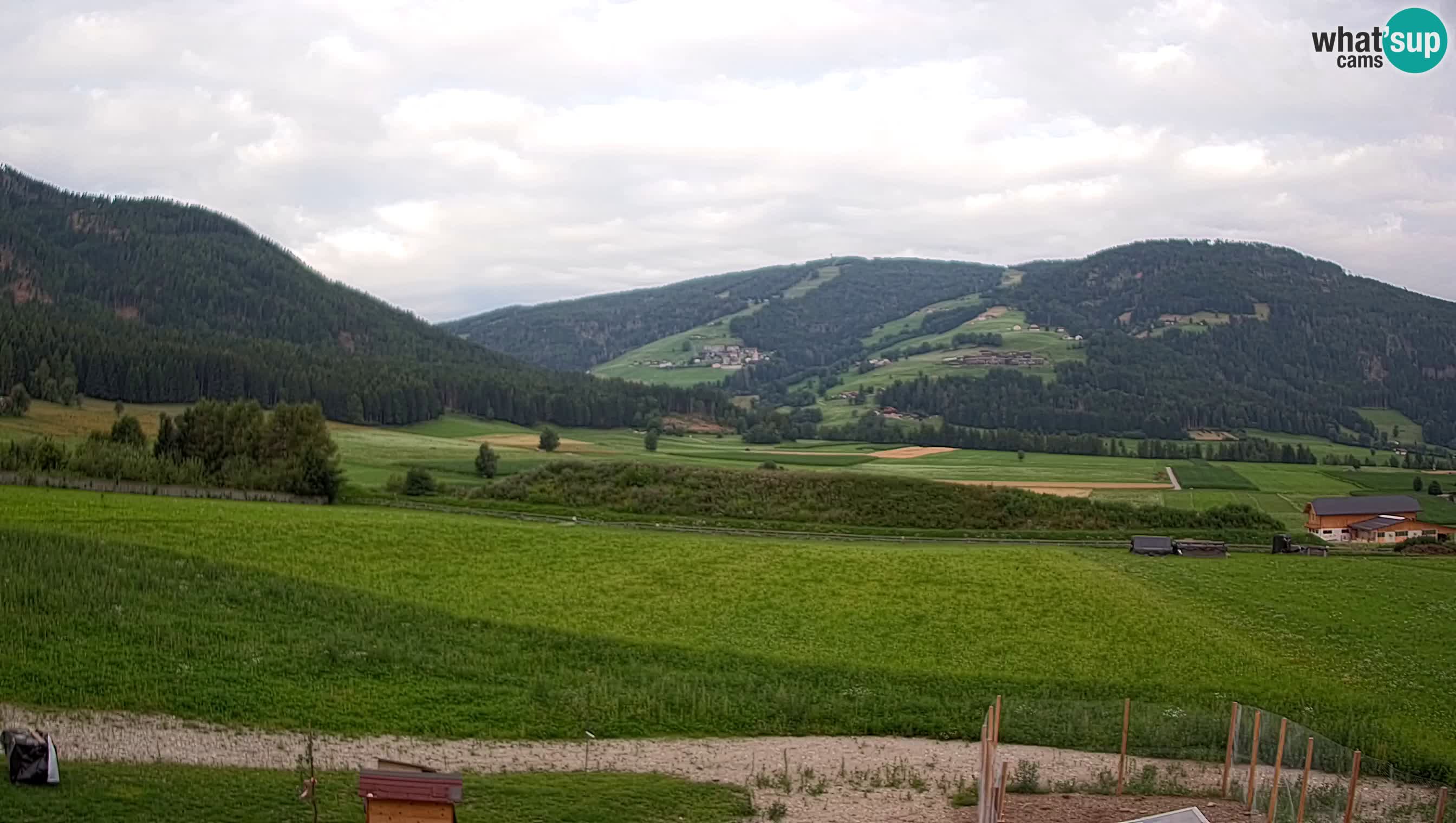 Livecam Olang | Kronplatz view from Sottla apartments