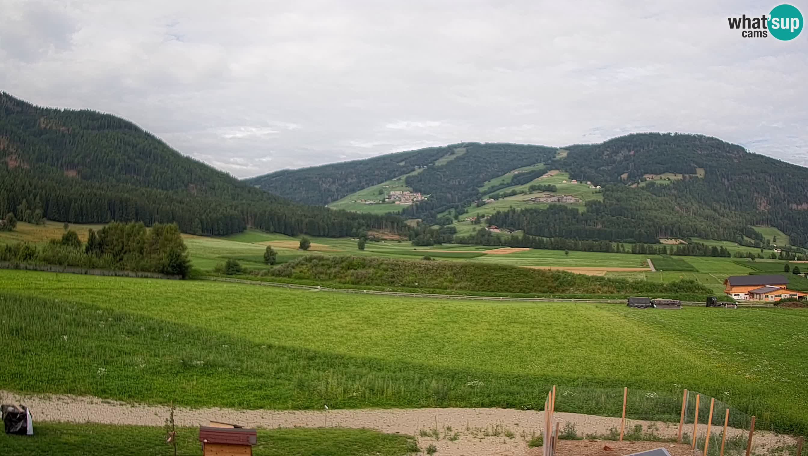 Webkamera Olang | Blick auf den Kronplatz von den Sottla Apartments