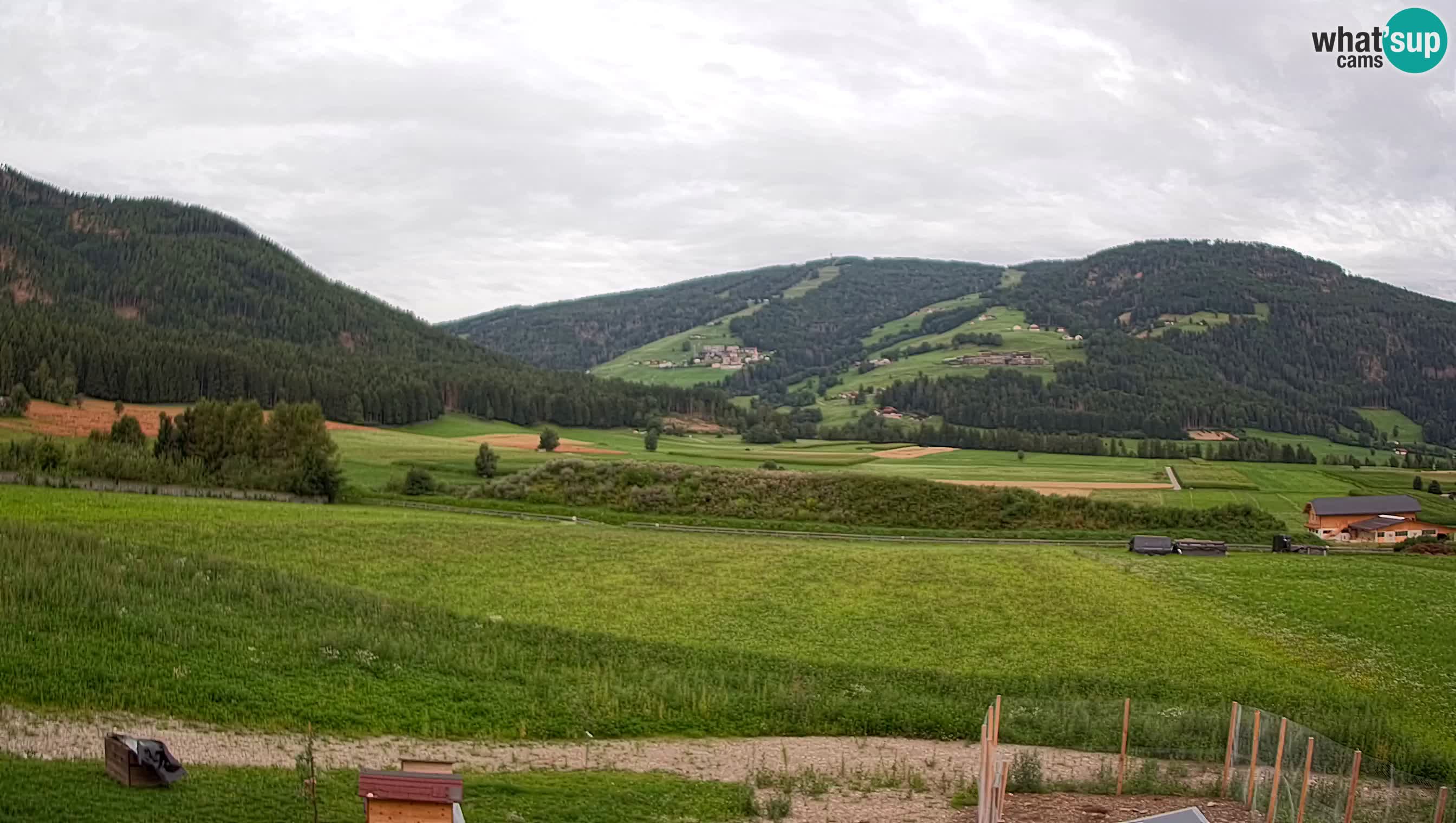 Livecam Olang | Kronplatz view from Sottla apartments