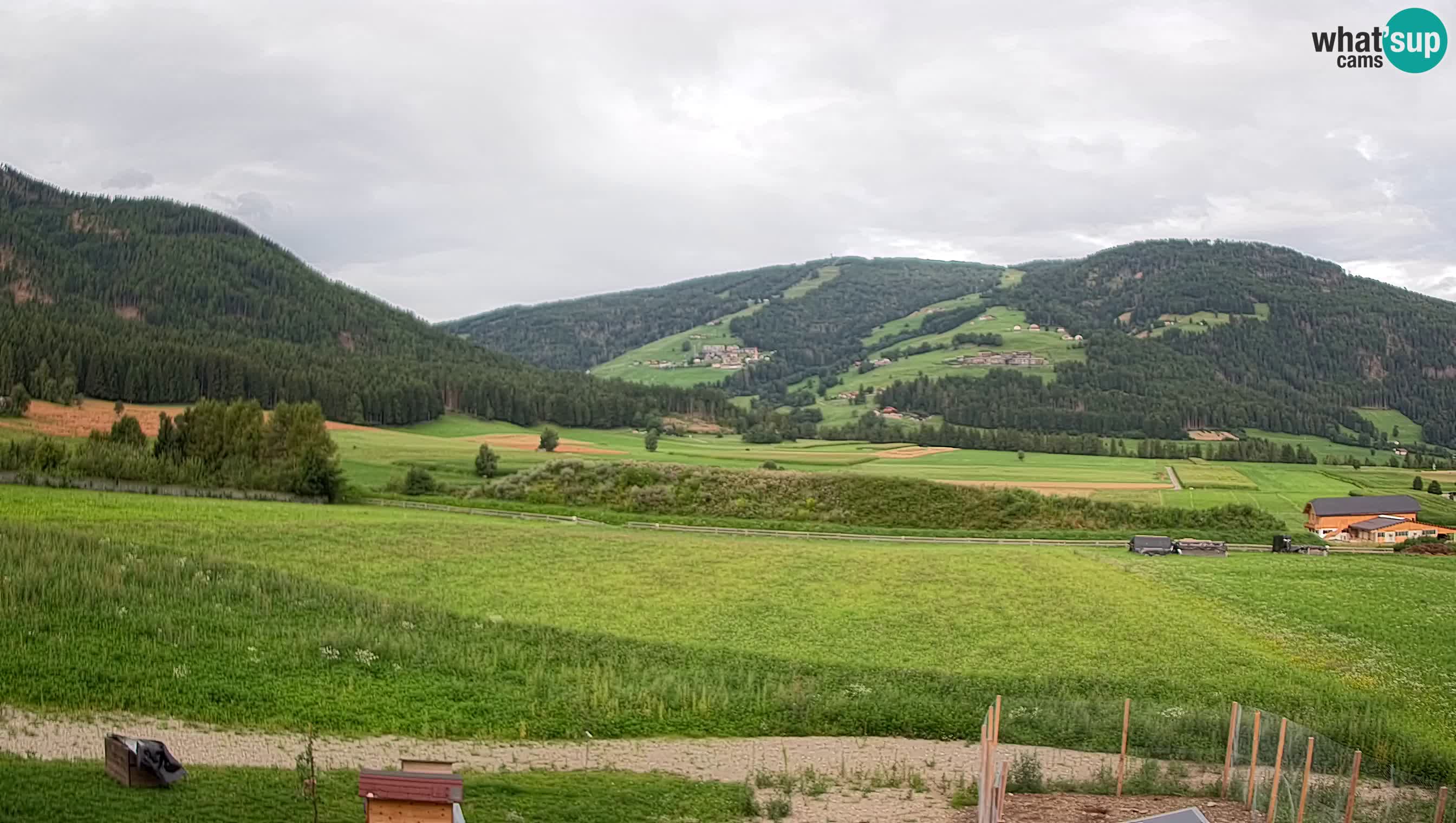 Livecam Olang | Kronplatz view from Sottla apartments