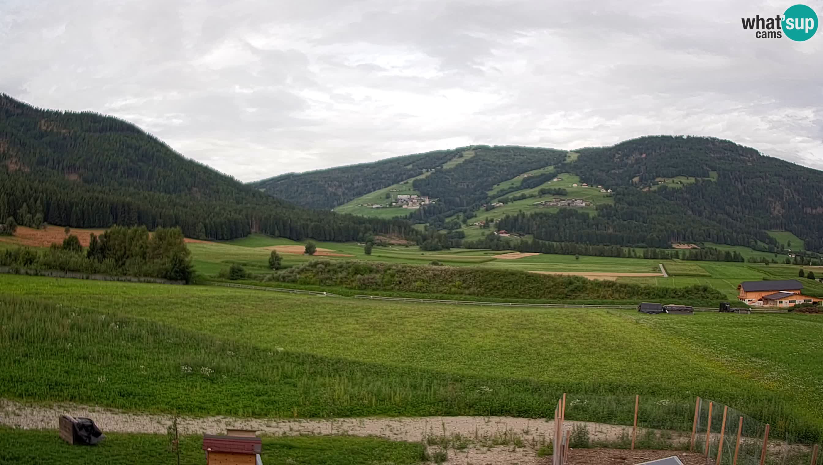 Livecam Olang | Kronplatz view from Sottla apartments