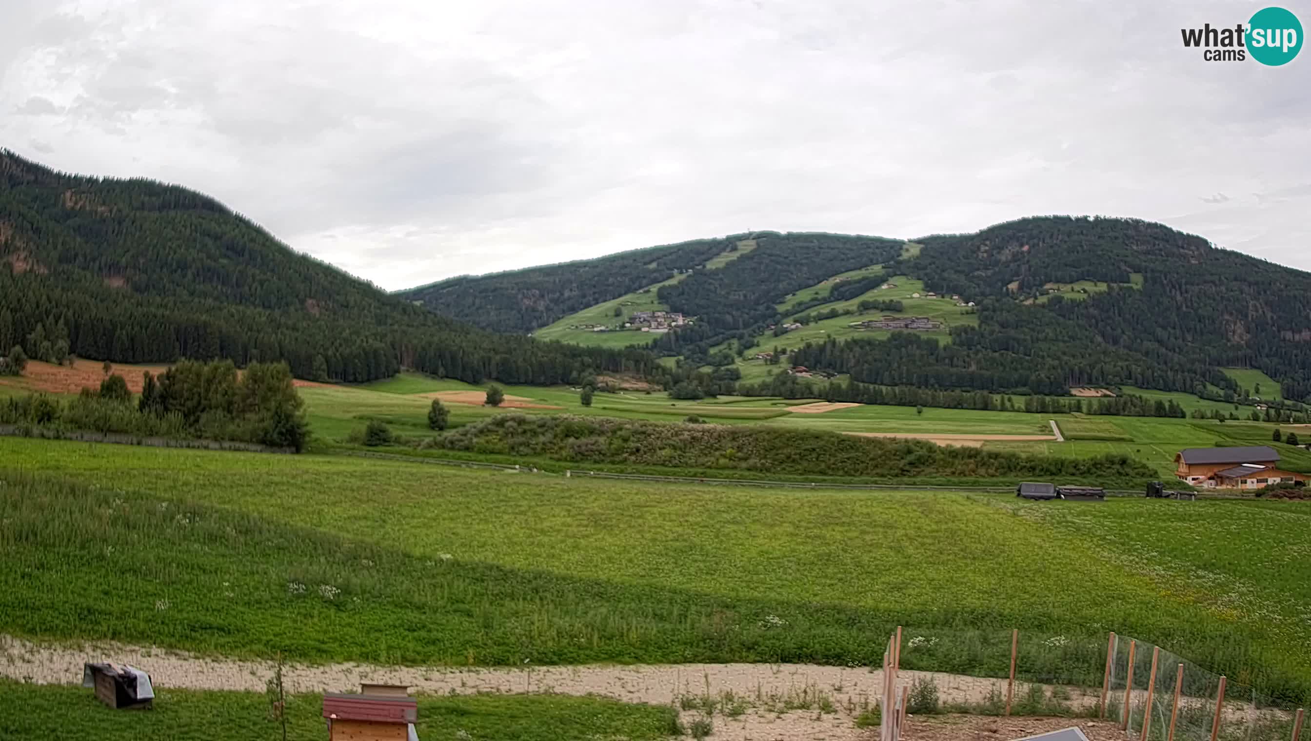 Livecam Olang | Kronplatz view from Sottla apartments