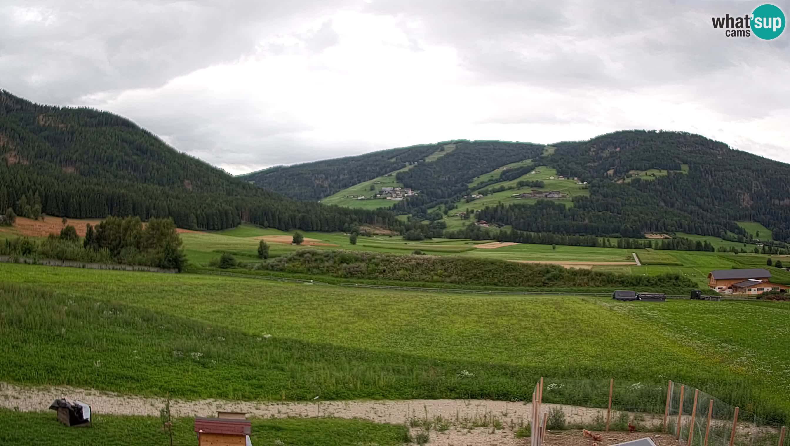 Livecam Olang | Kronplatz view from Sottla apartments