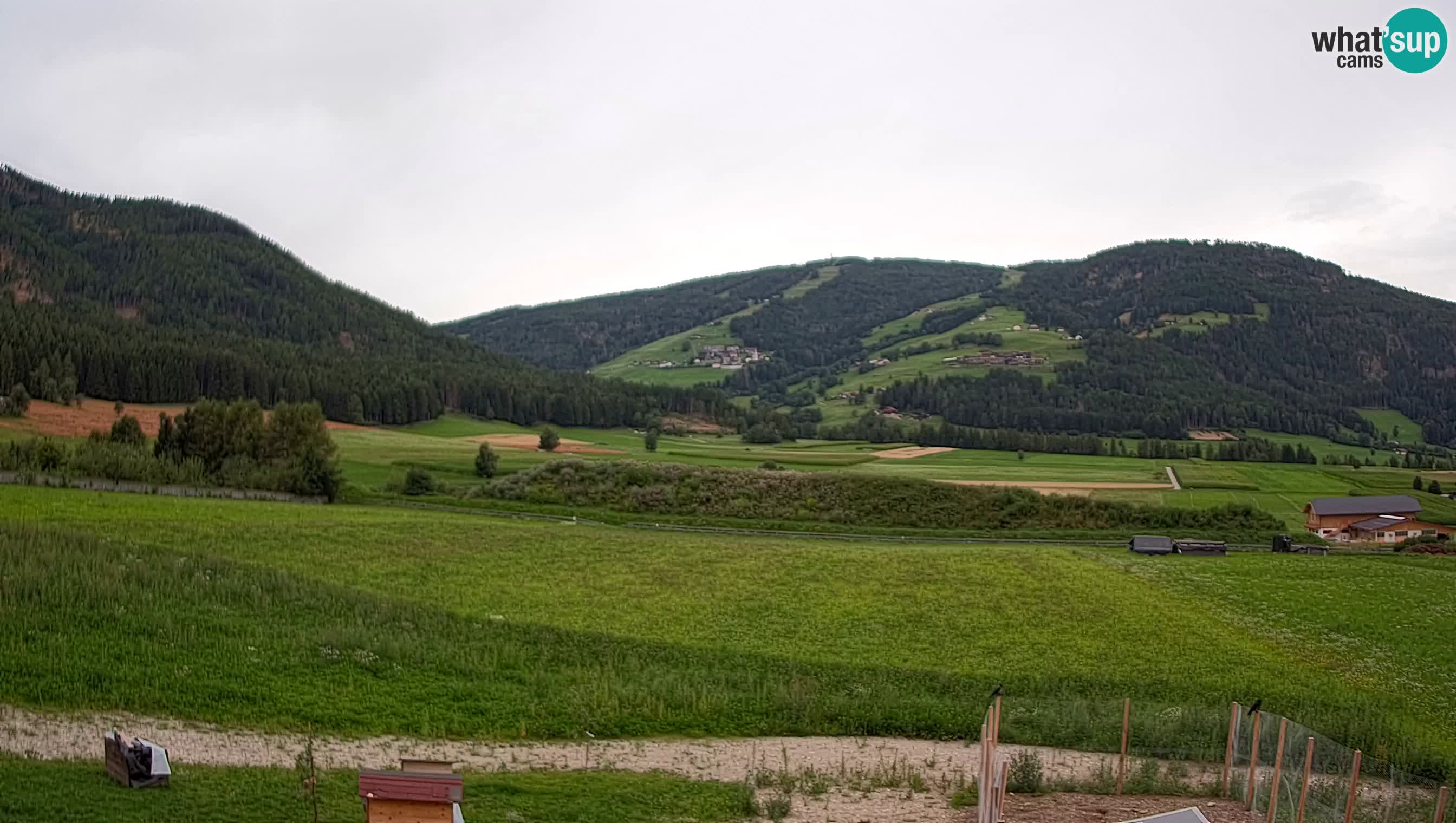 Livecam Valdaora | Plan de Corones dagli appartamenti Sottla