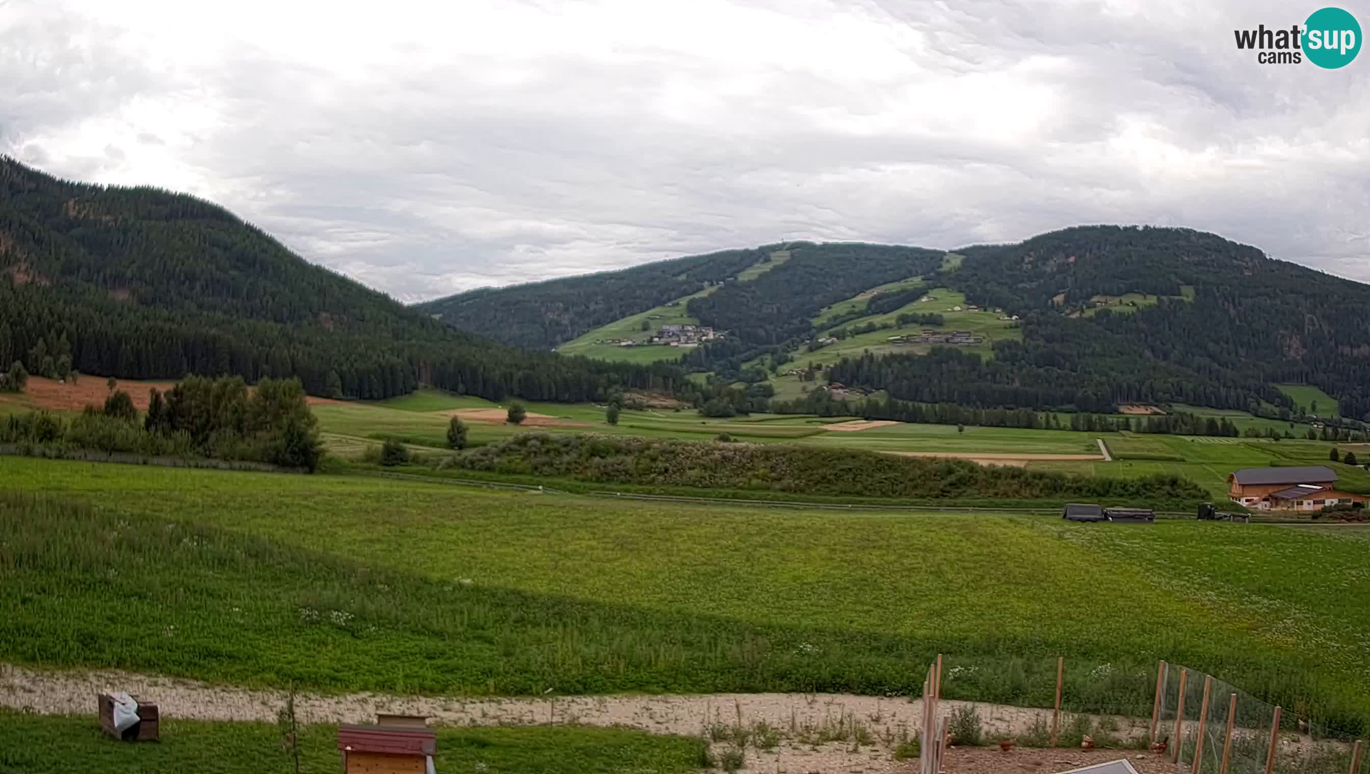 Livecam Olang | Kronplatz view from Sottla apartments