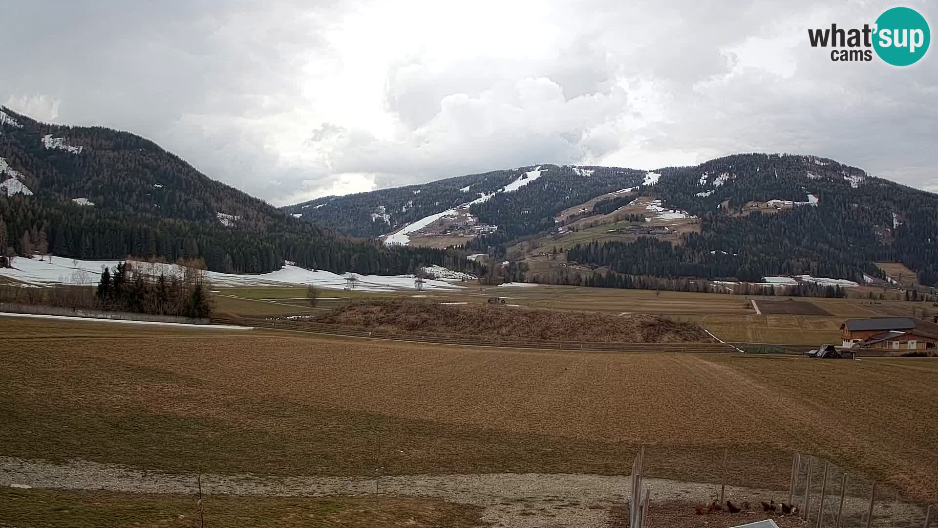 Livecam Olang | Kronplatz view from Sottla apartments
