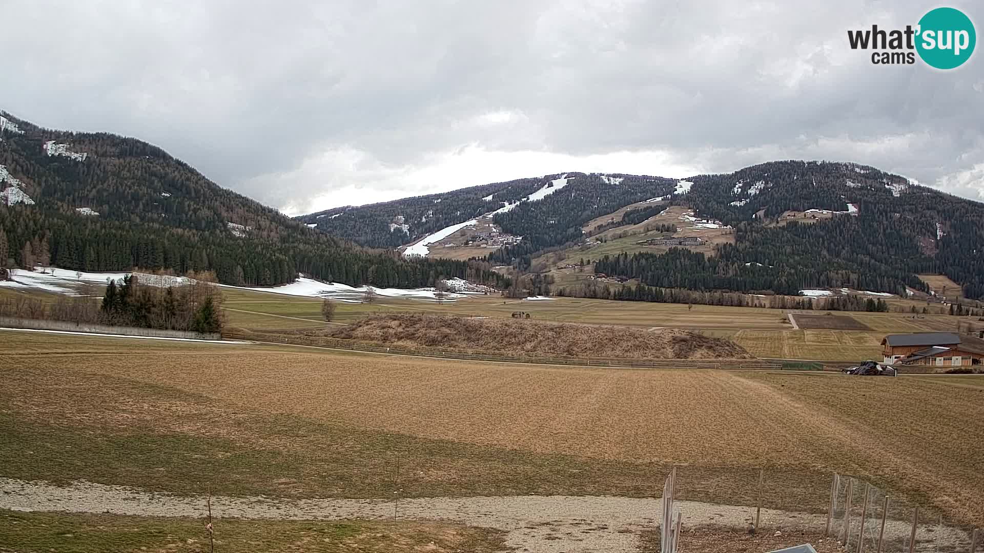 Web Kamera Olang | Kronplatz pogled sa apartmanov Sottla