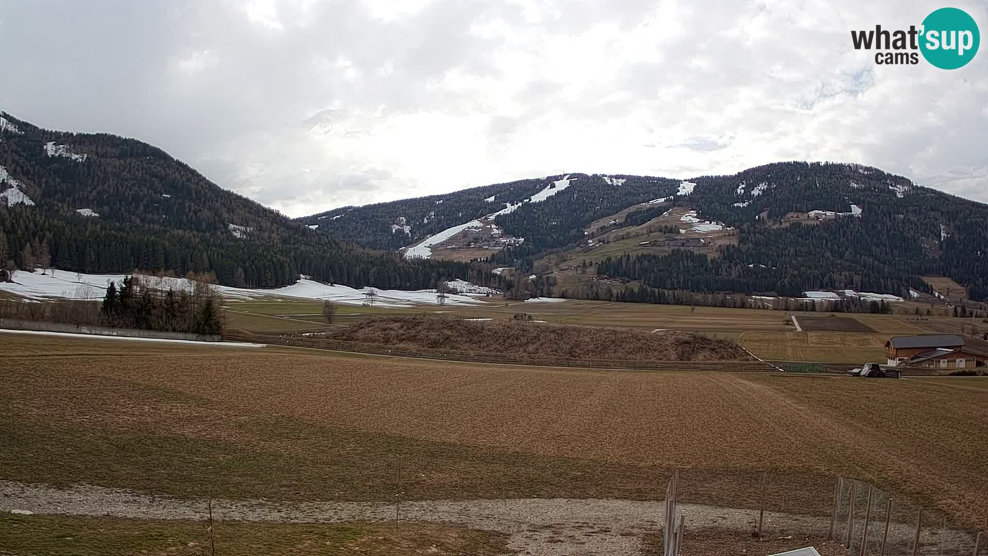 Livecam Olang | Kronplatz view from Sottla apartments