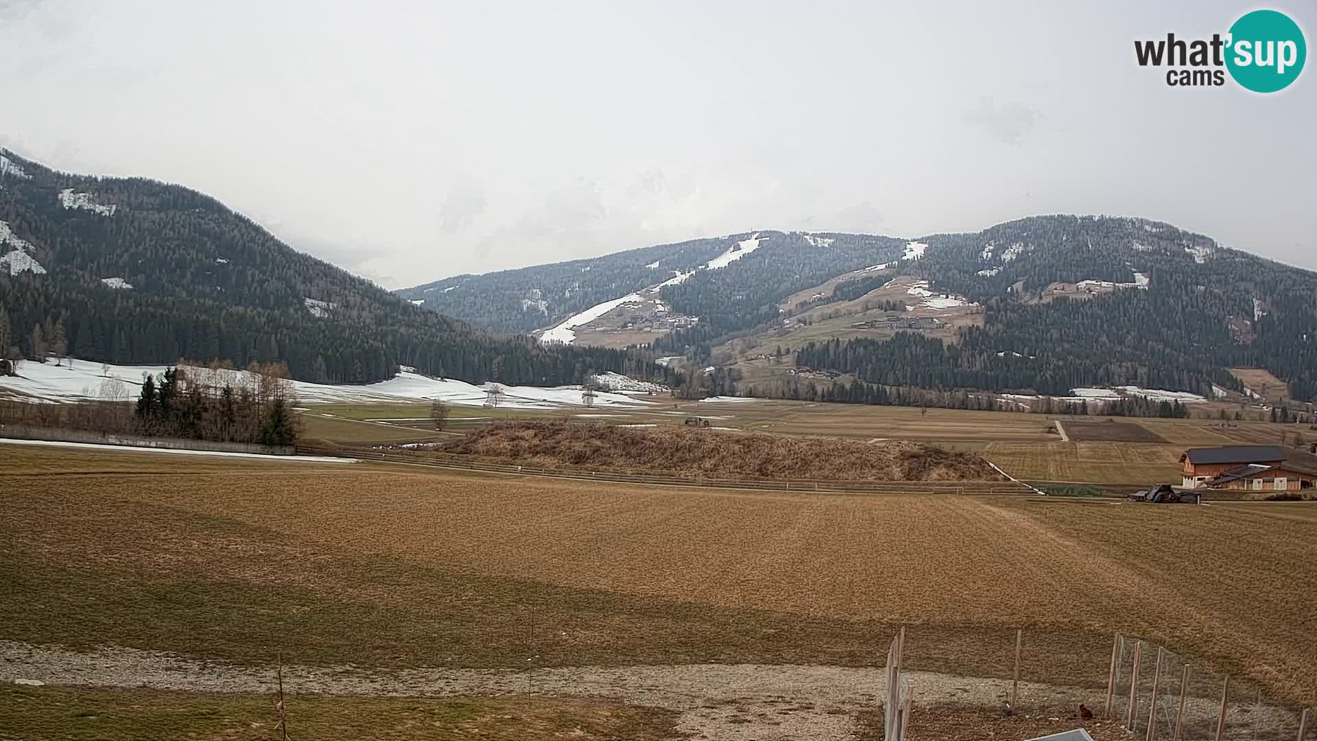 Webkamera Olang | Blick auf den Kronplatz von den Sottla Apartments