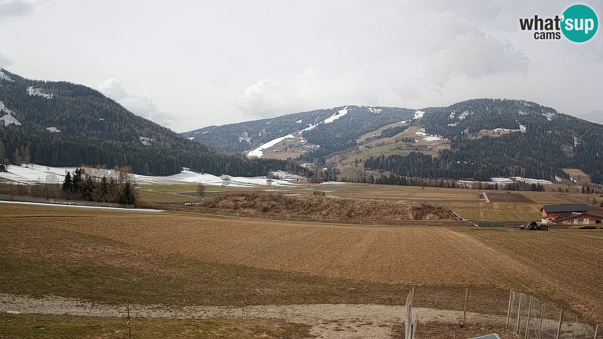 Web Kamera Olang | Kronplatz pogled sa apartmanov Sottla