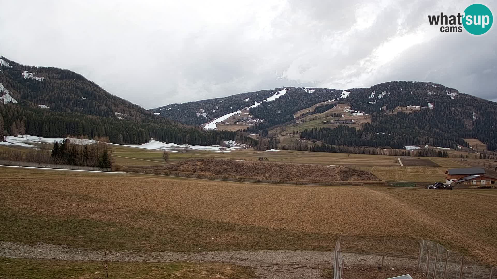 Livecam Olang | Kronplatz view from Sottla apartments