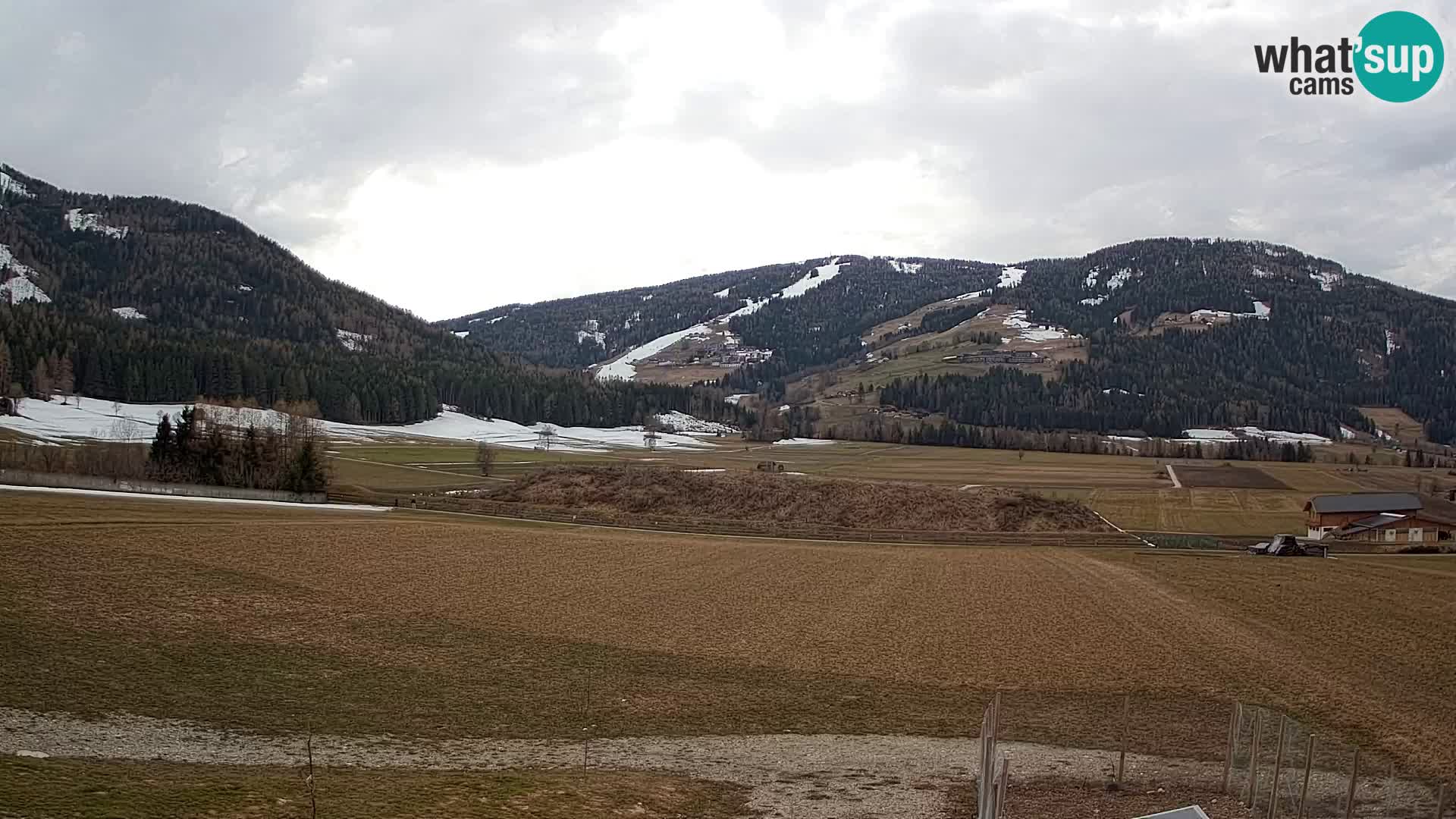 Livecam Olang | Kronplatz view from Sottla apartments