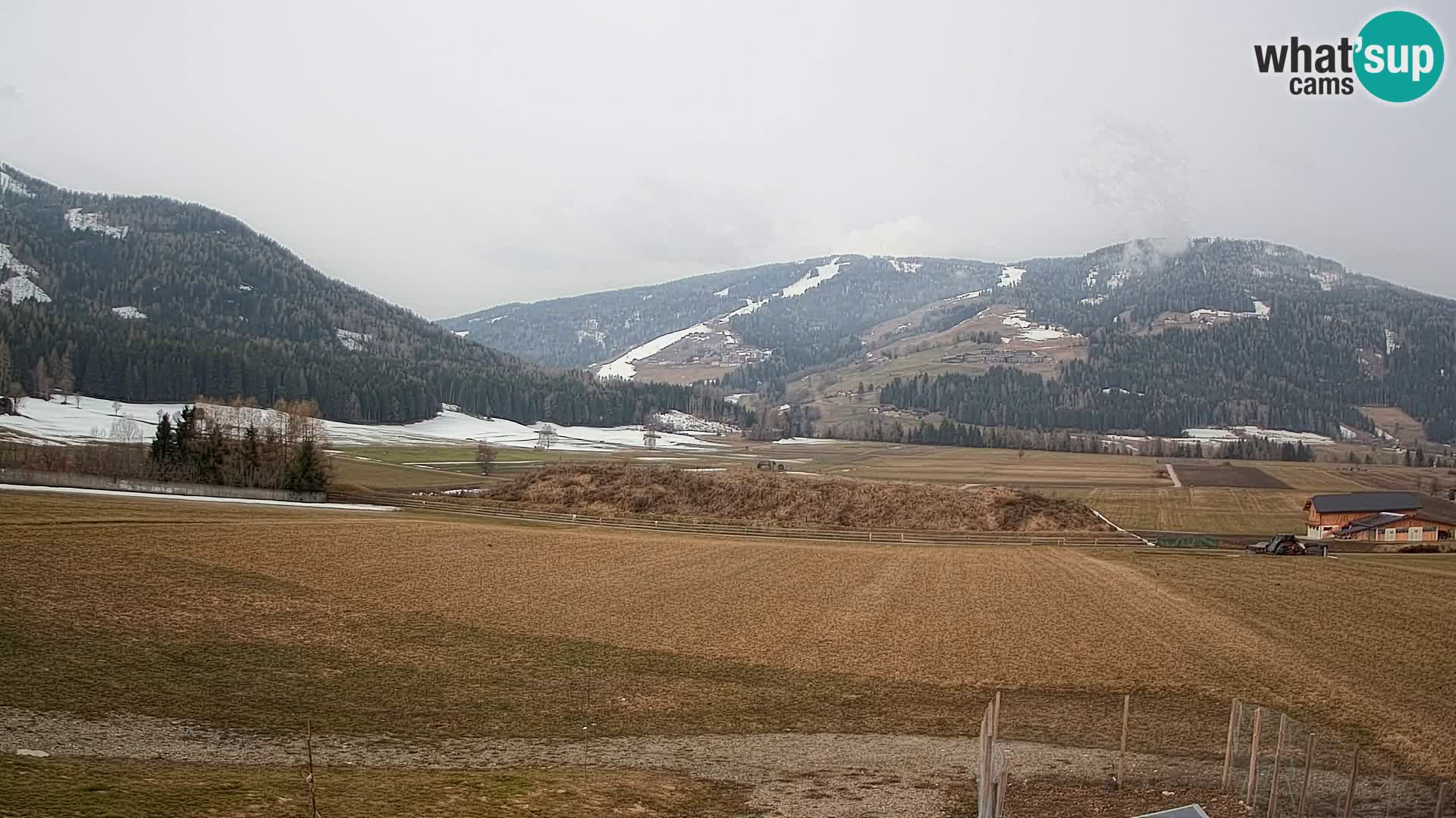 Web Kamera Olang | Kronplatz pogled sa apartmanov Sottla