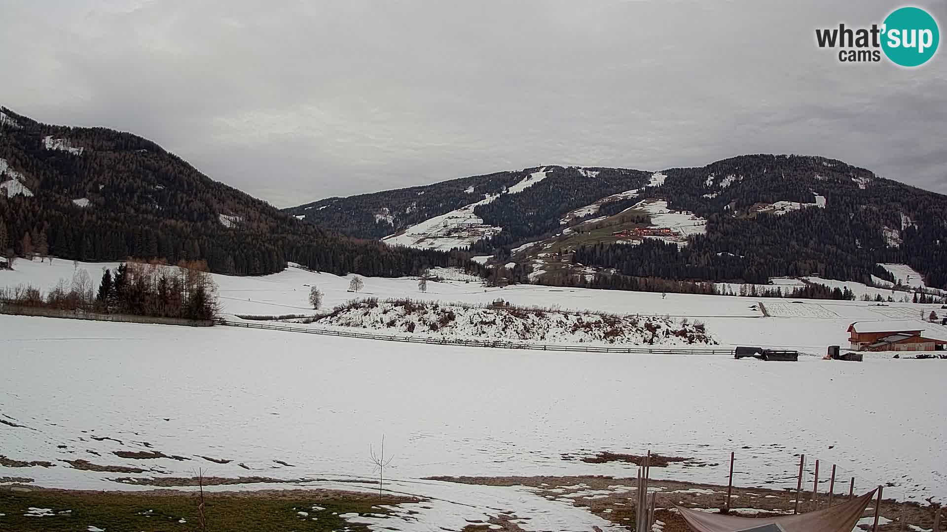 Web Kamera Olang | Kronplatz pogled sa apartmanov Sottla