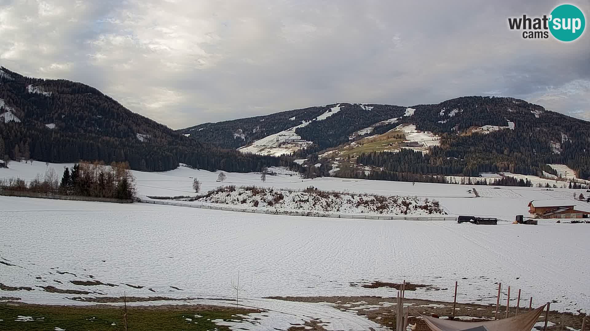 Livecam Olang | Kronplatz view from Sottla apartments