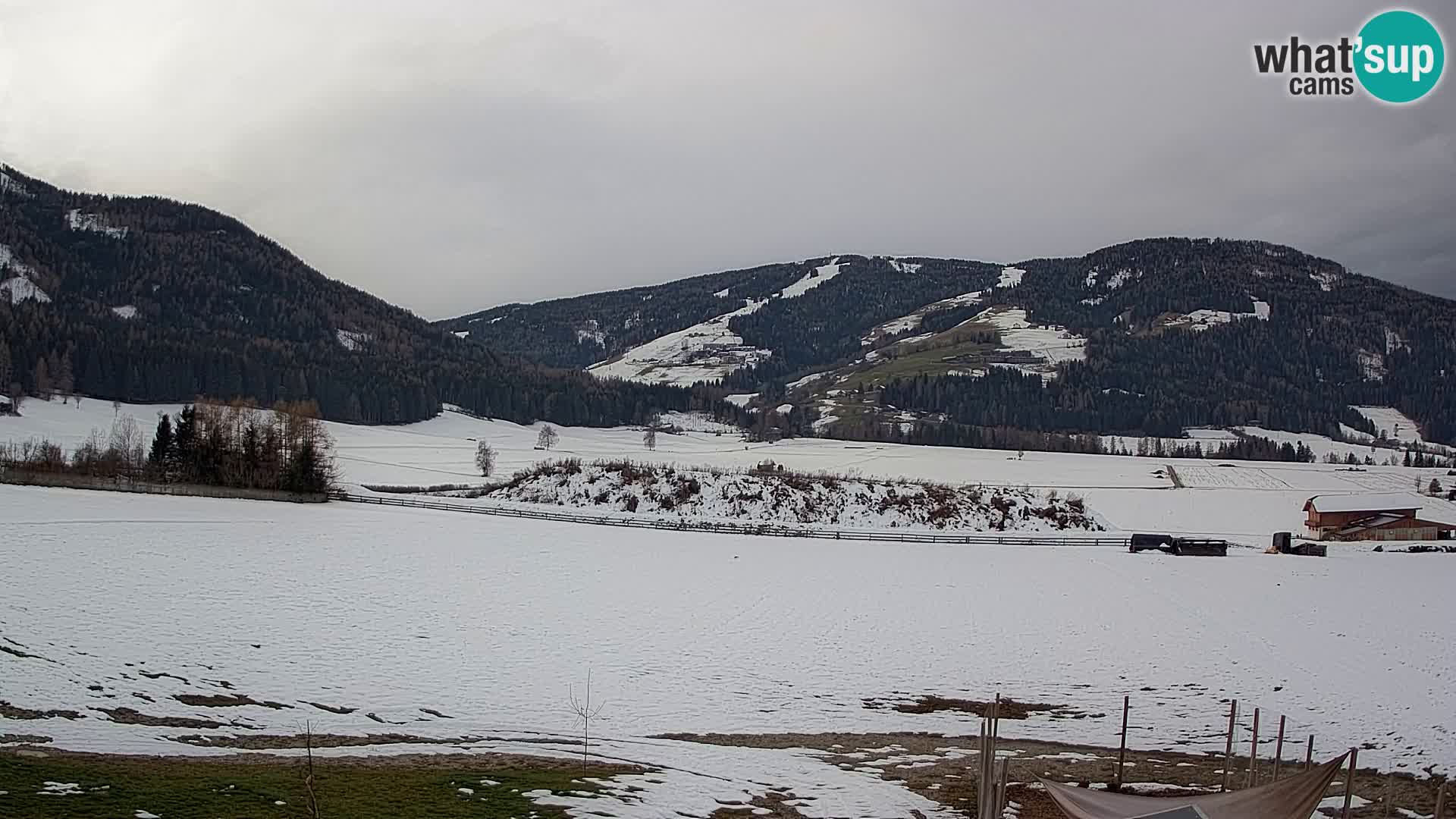 Livecam Olang | Kronplatz view from Sottla apartments