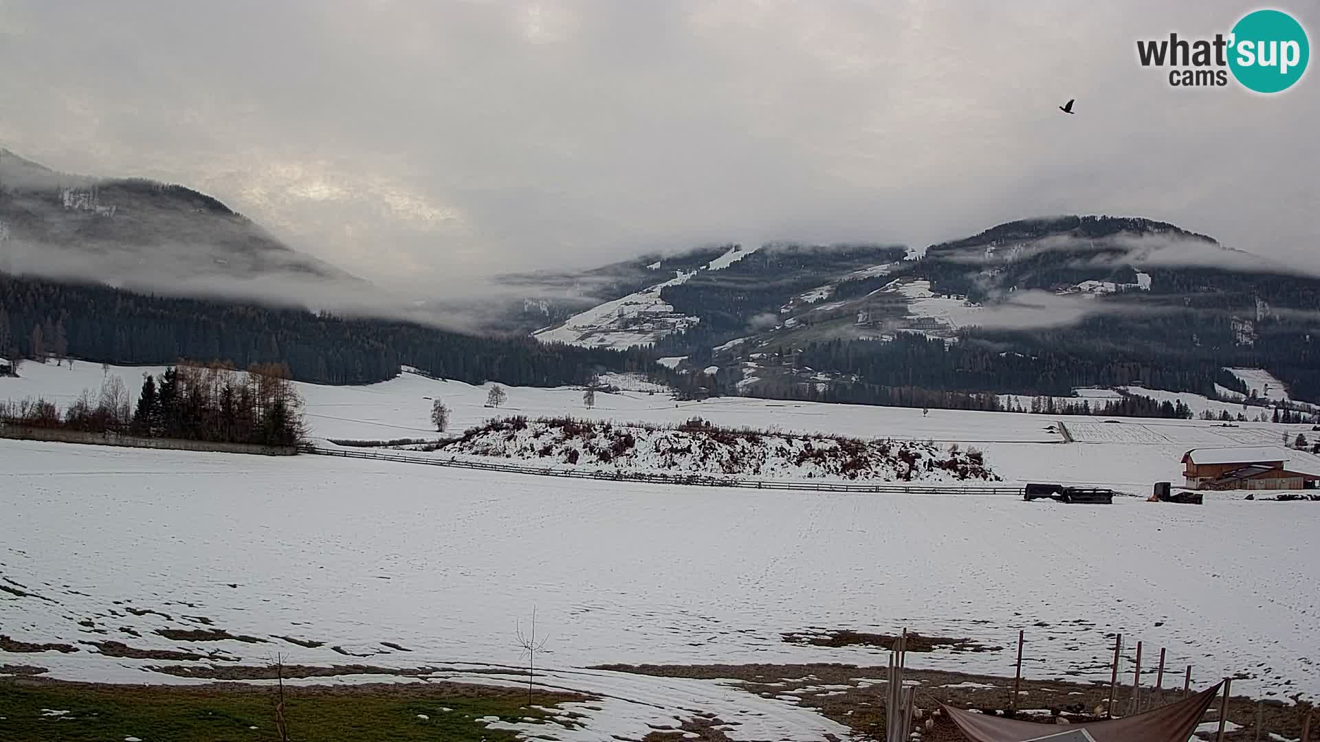 Kamera Olang | Kronplatz pogled iz apartmajev Sottla