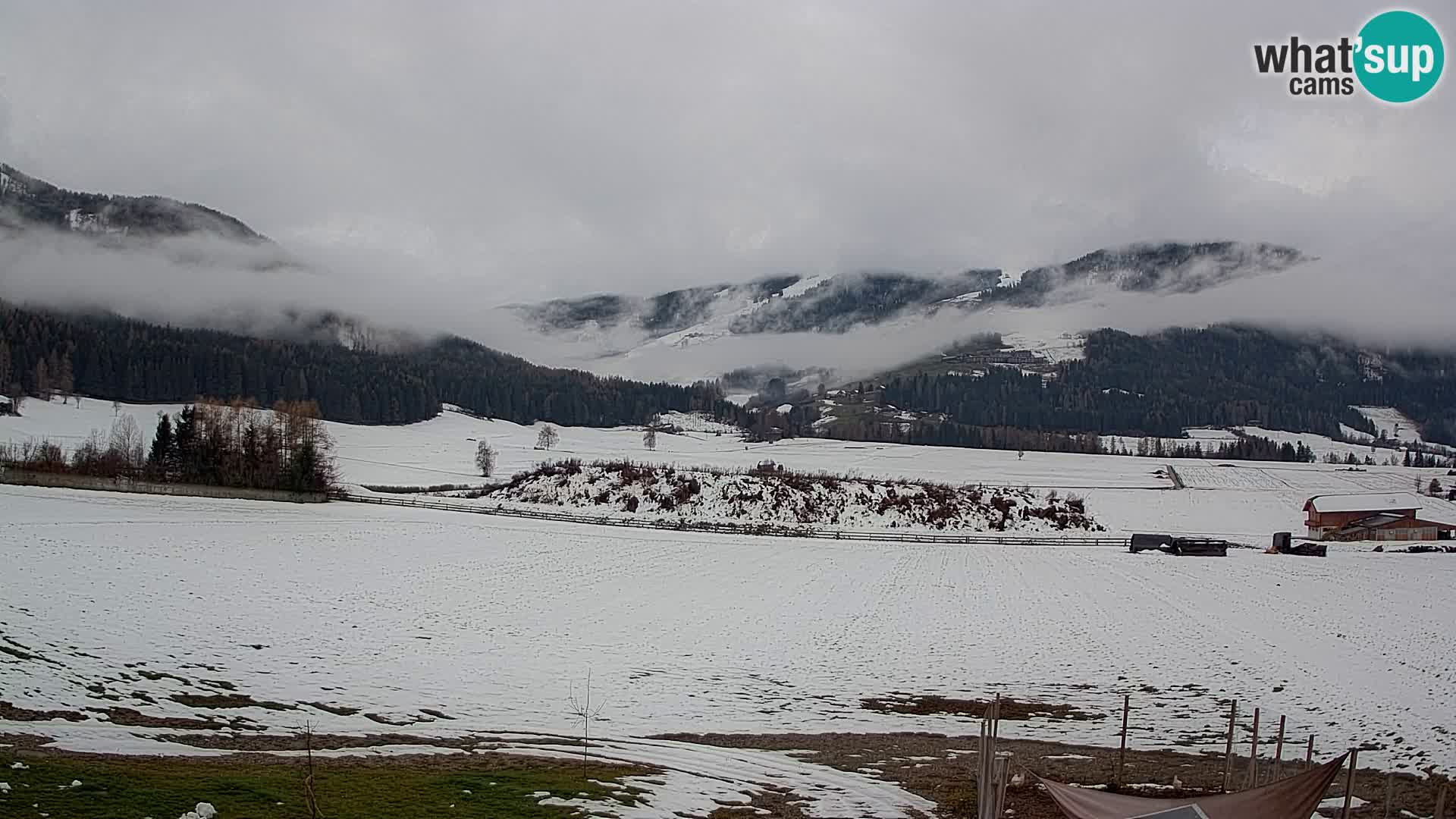 Web Kamera Olang | Kronplatz pogled sa apartmanov Sottla