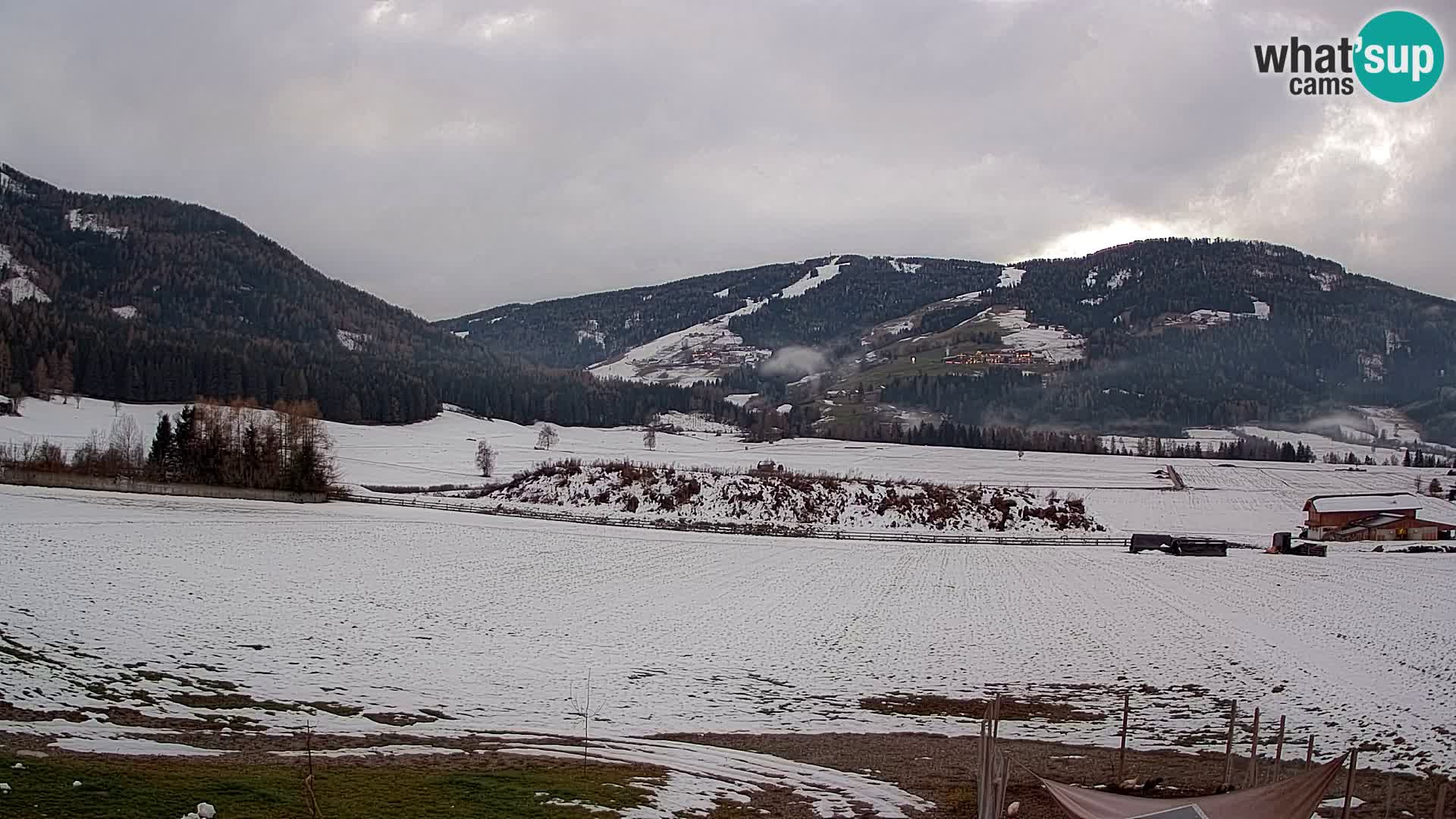 Livecam Olang | Kronplatz view from Sottla apartments