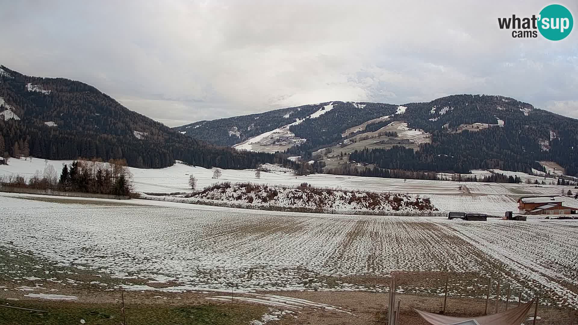 Livecam Olang | Kronplatz view from Sottla apartments