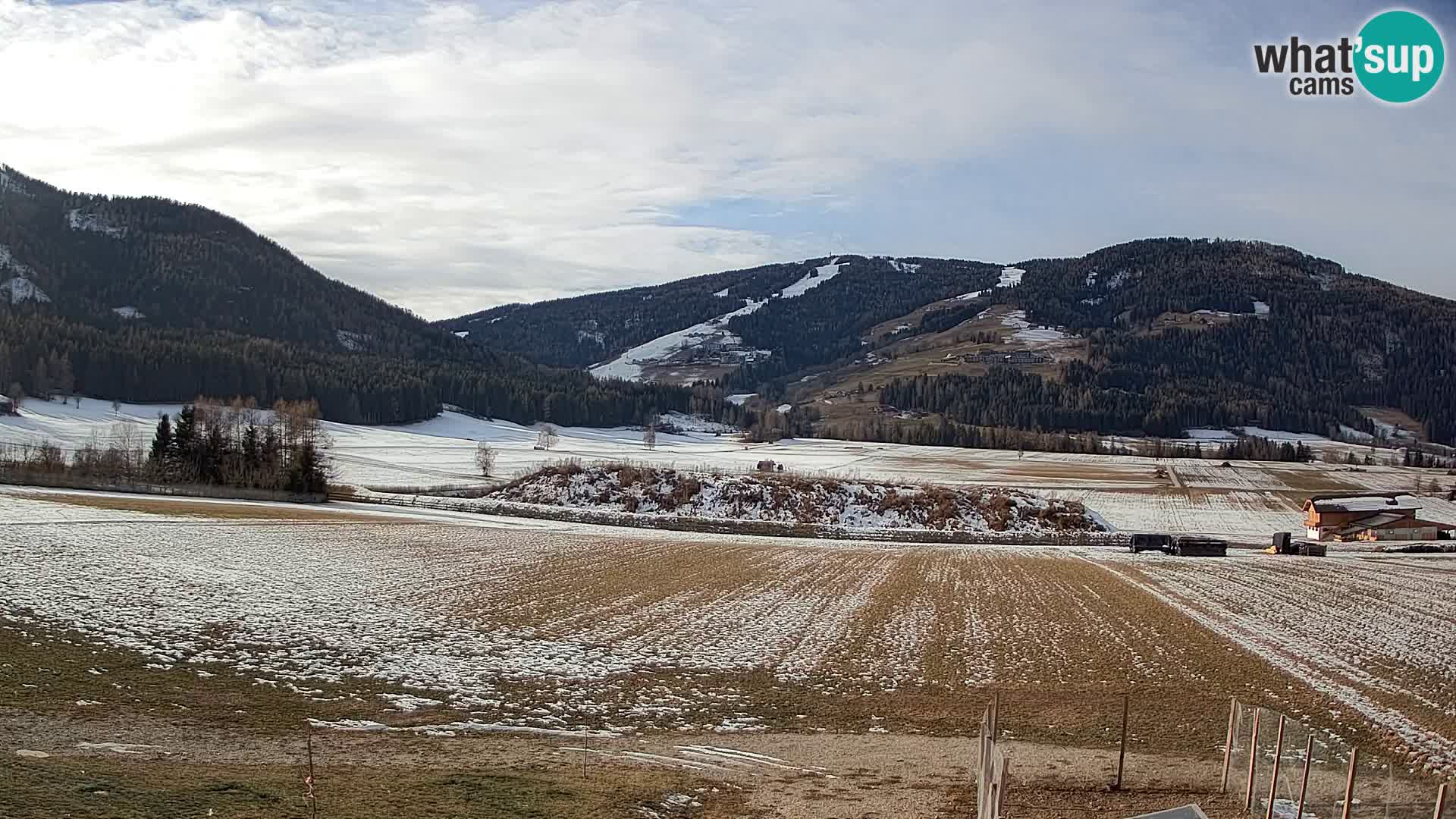 Web Kamera Olang | Kronplatz pogled sa apartmanov Sottla