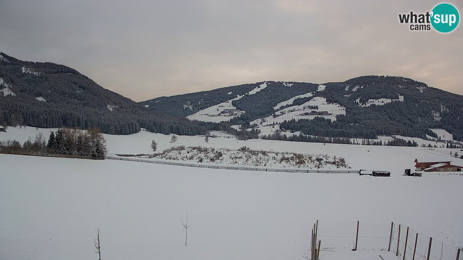 Livecam Olang | Kronplatz view from Sottla apartments