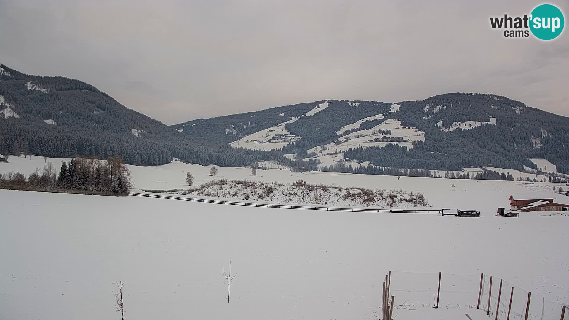 Webkamera Olang | Blick auf den Kronplatz von den Sottla Apartments