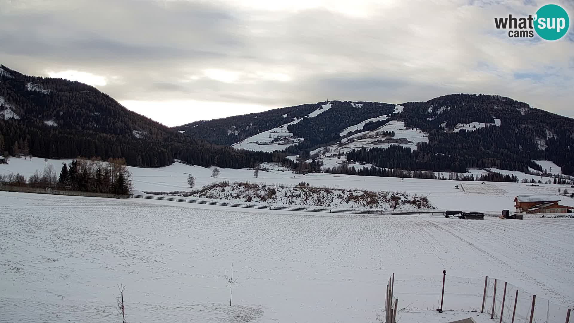 Web Kamera Olang | Kronplatz pogled sa apartmanov Sottla