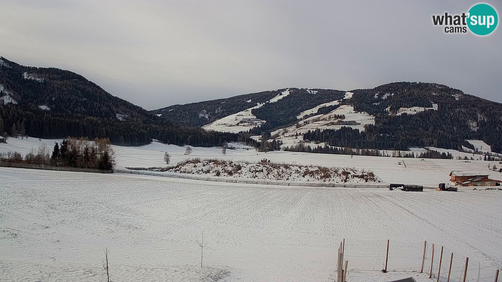 Livecam Olang | Kronplatz view from Sottla apartments